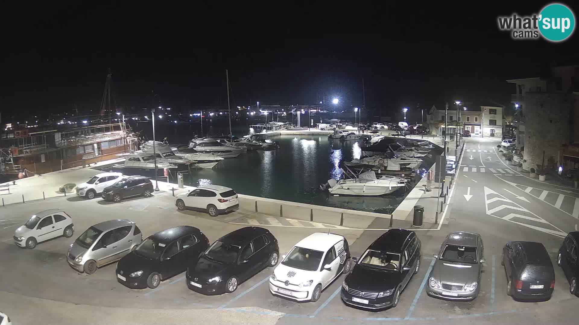 Novigrad | Porporela marina