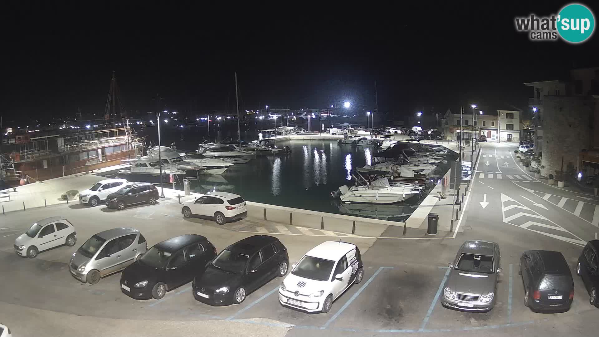 Novigrad | Porporela marina