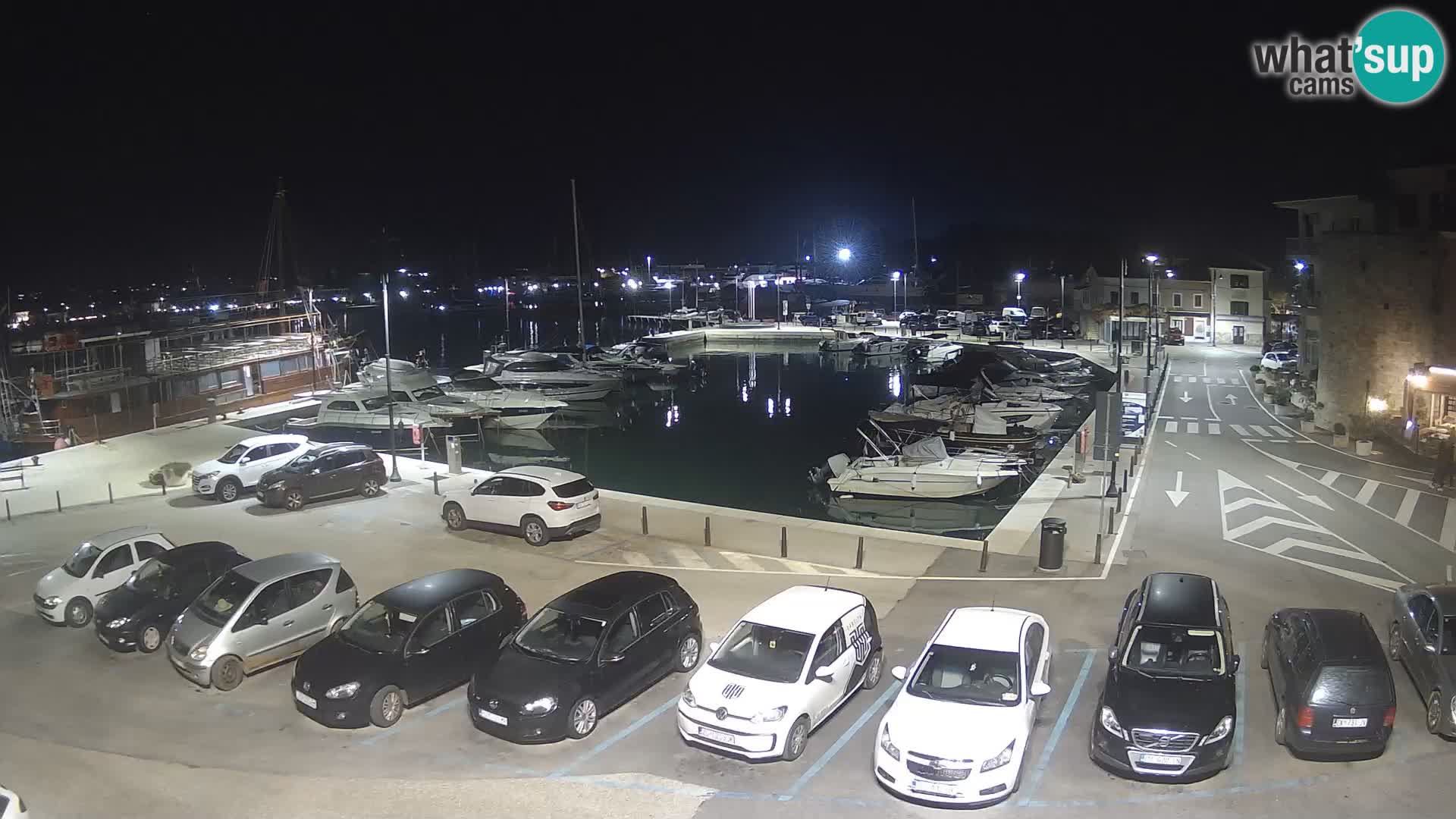 Novigrad | Porporela marina
