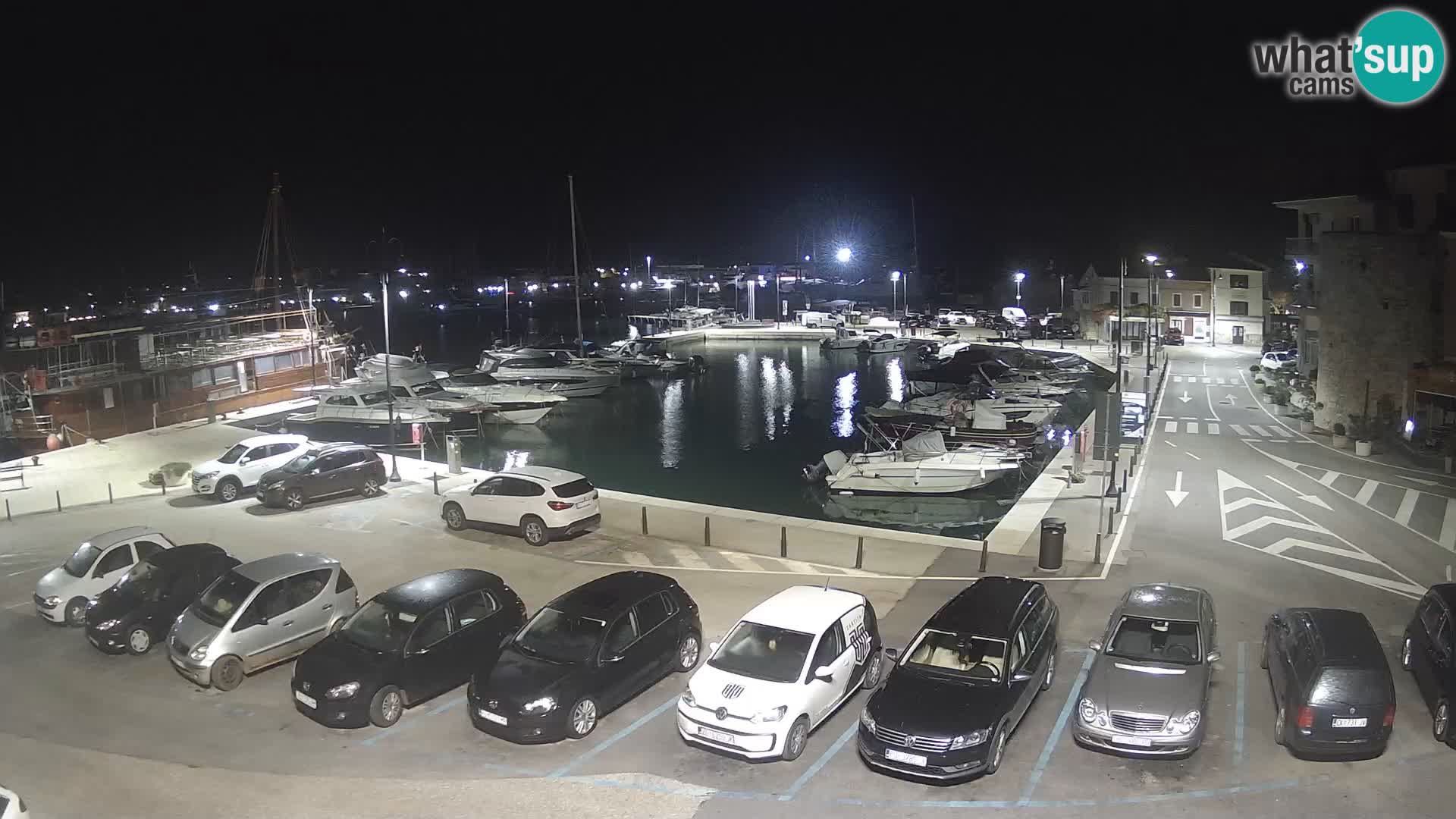 Novigrad | Porporela marina