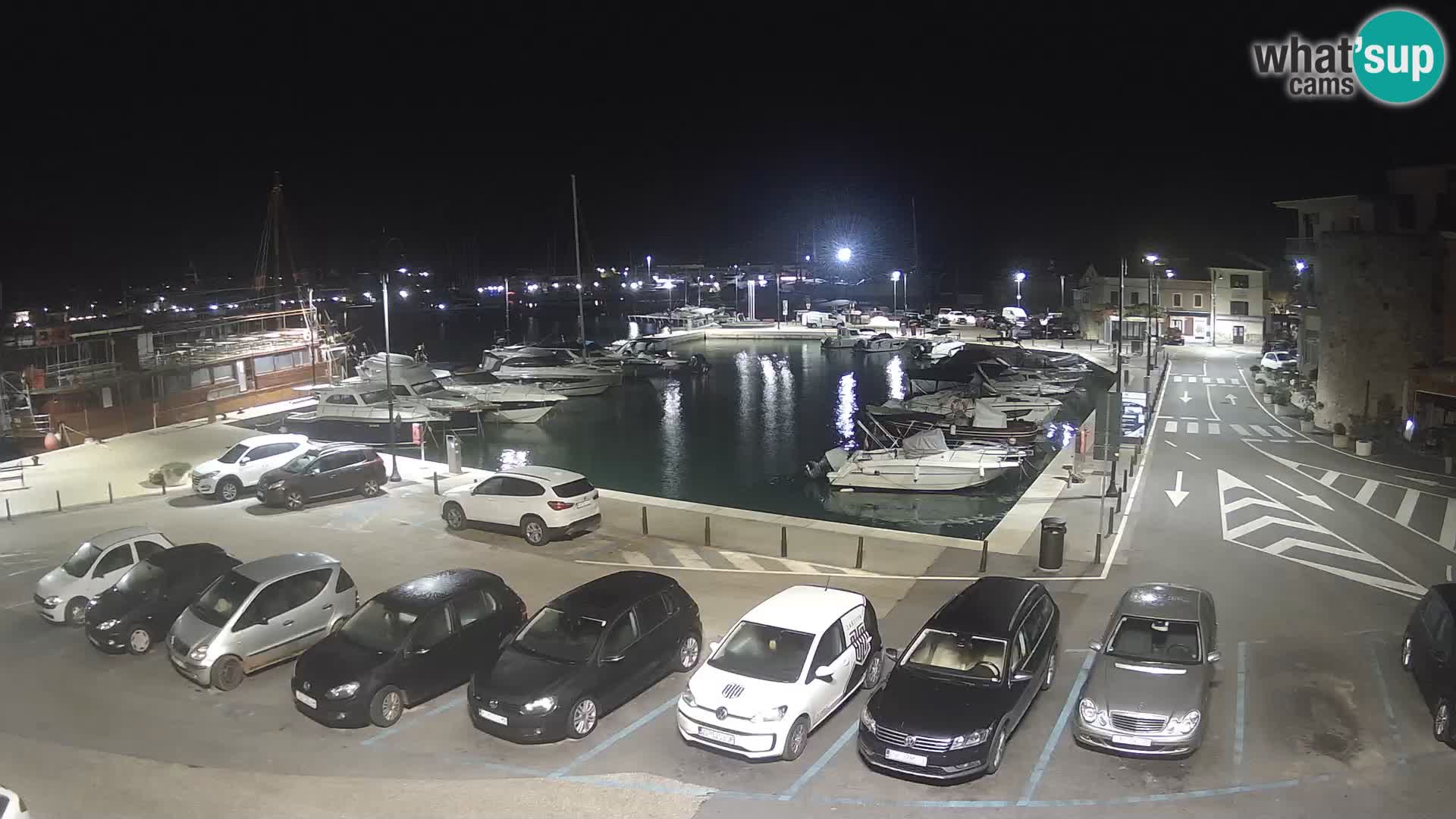 Novigrad | Porporela marina