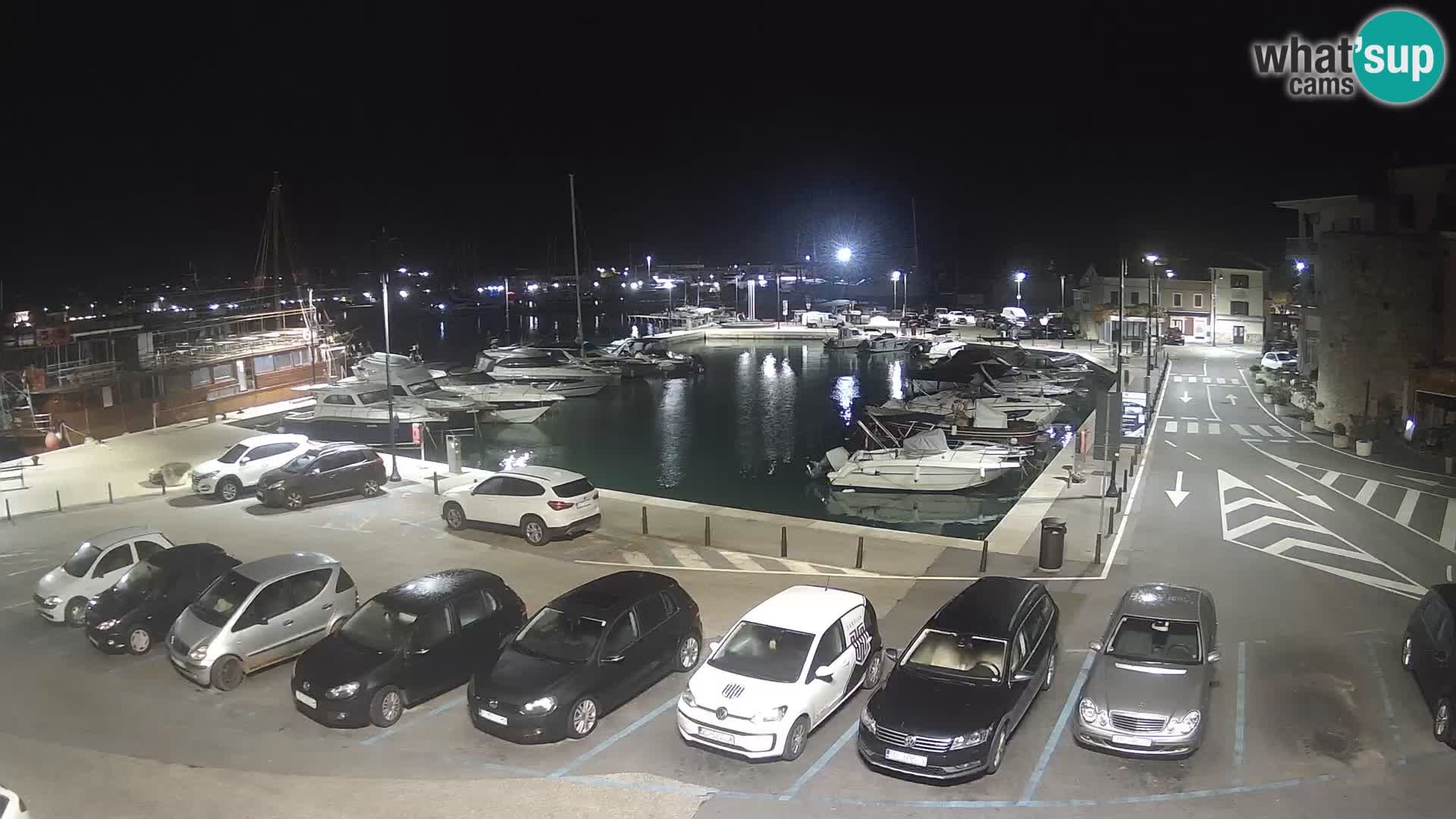 Novigrad | Porporela marina