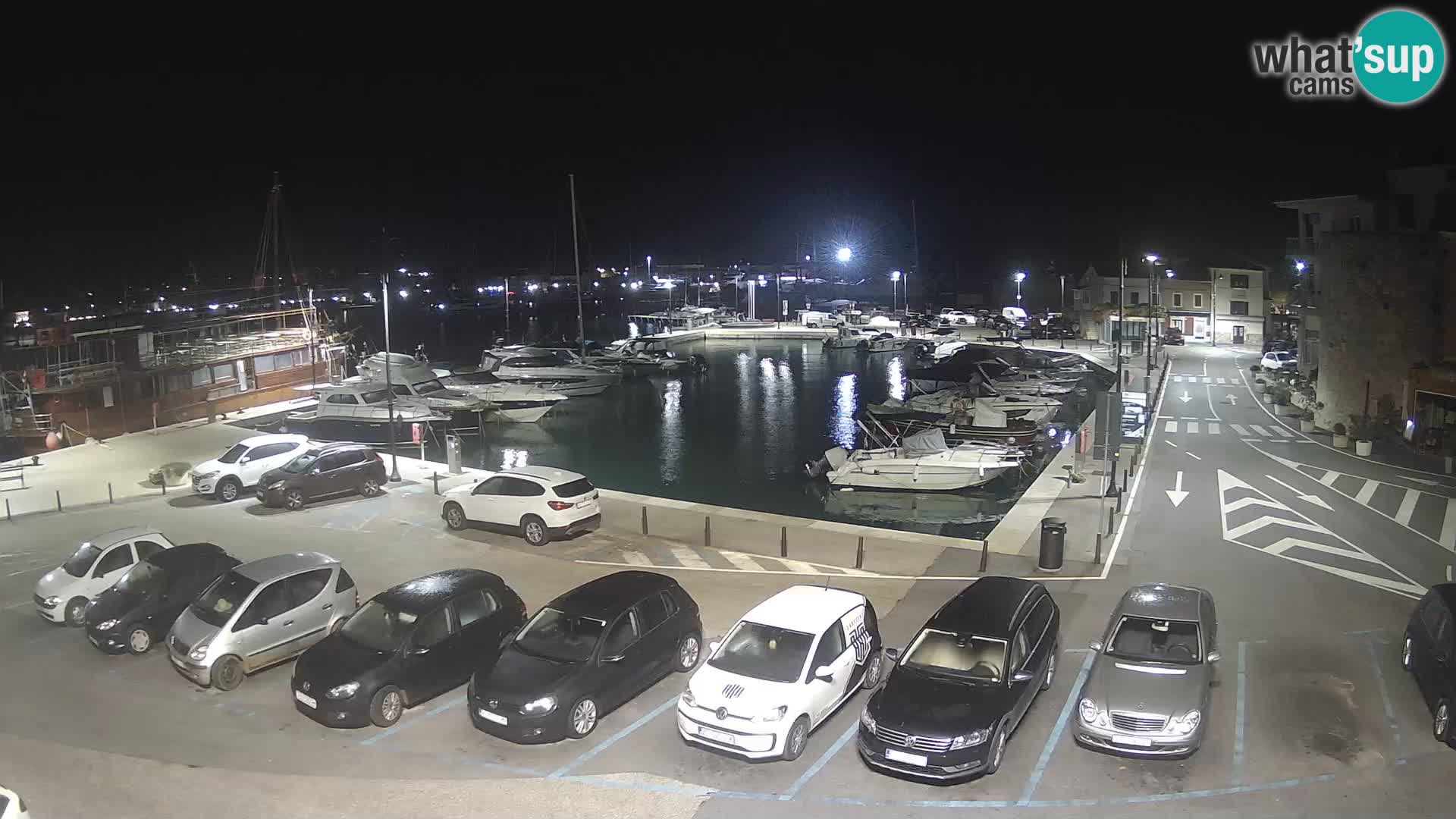 Novigrad | Porporela marina