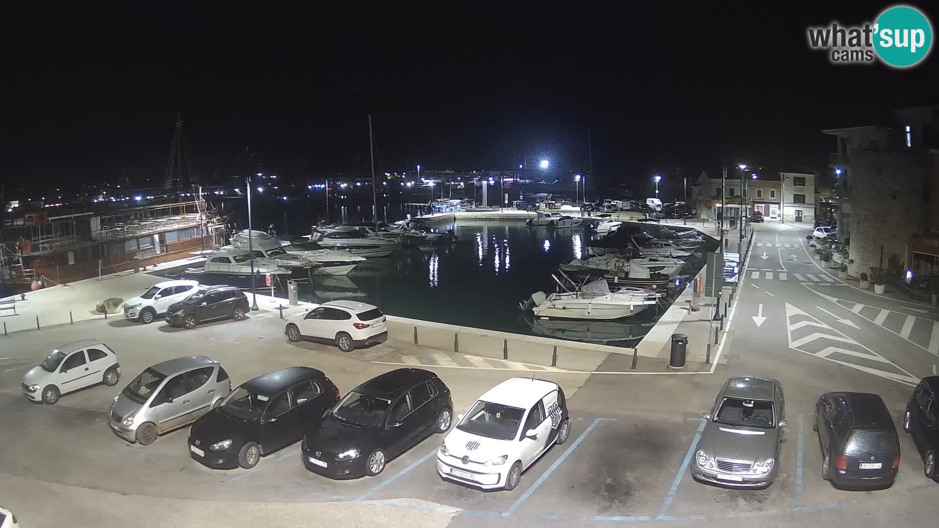 Novigrad | Porporela marina