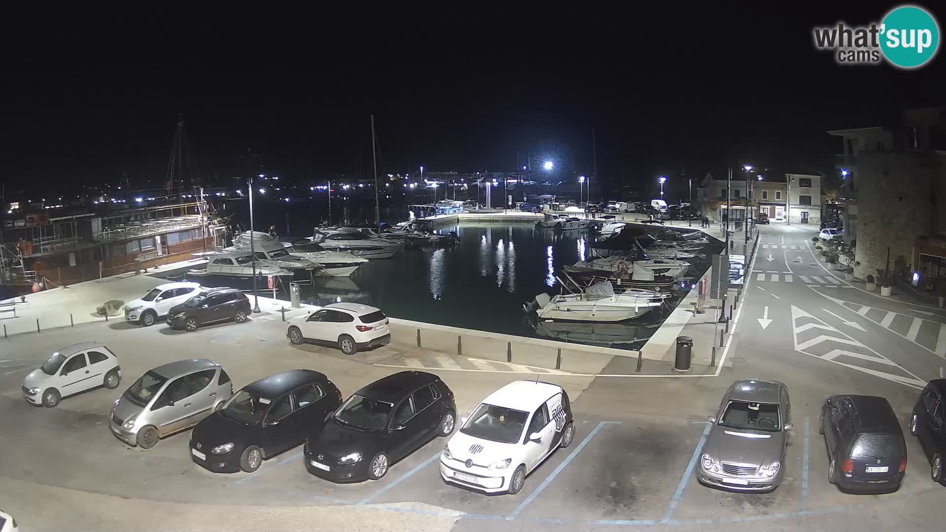 Novigrad | Porporela marina