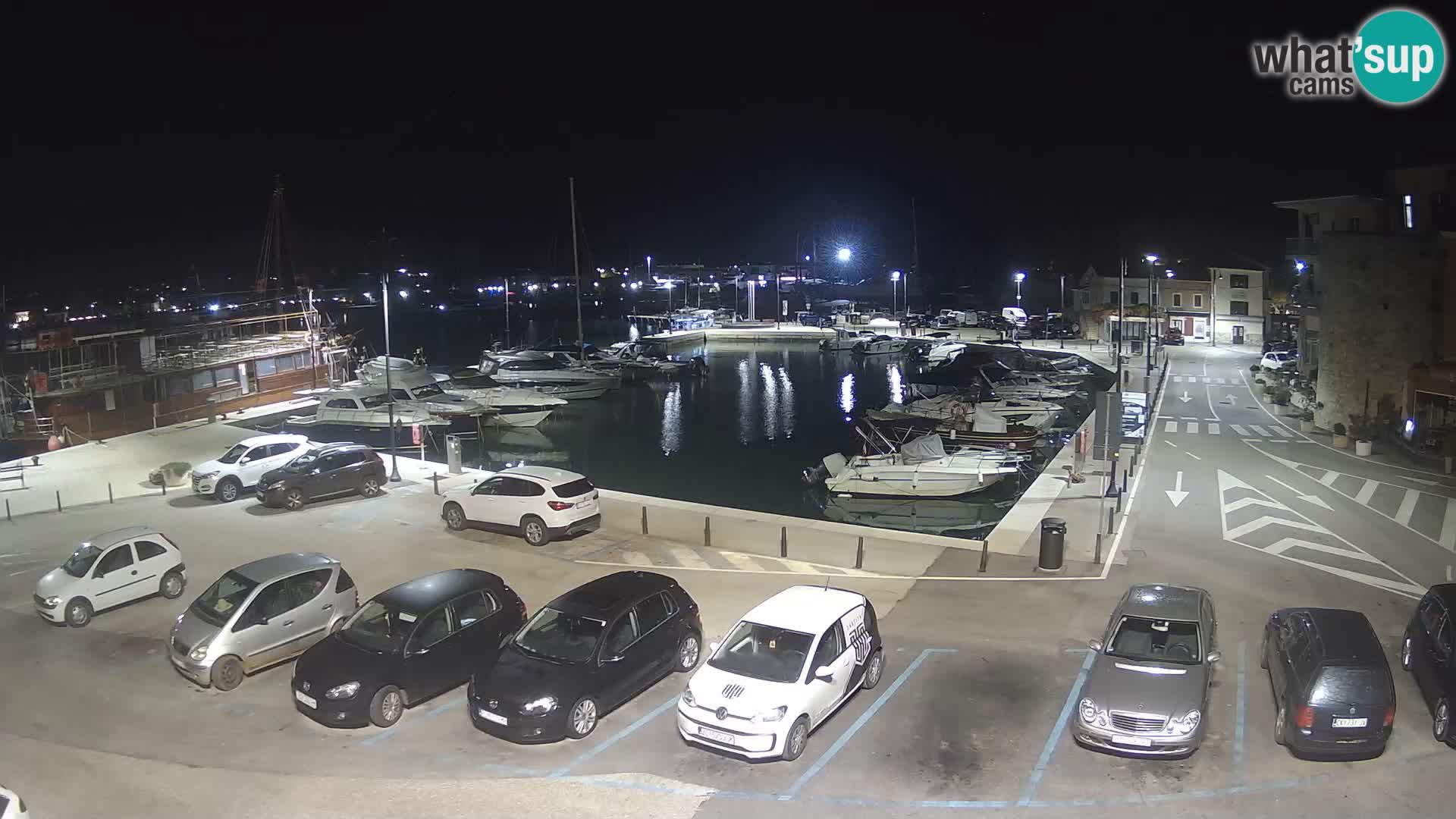 Novigrad | Porporela marina