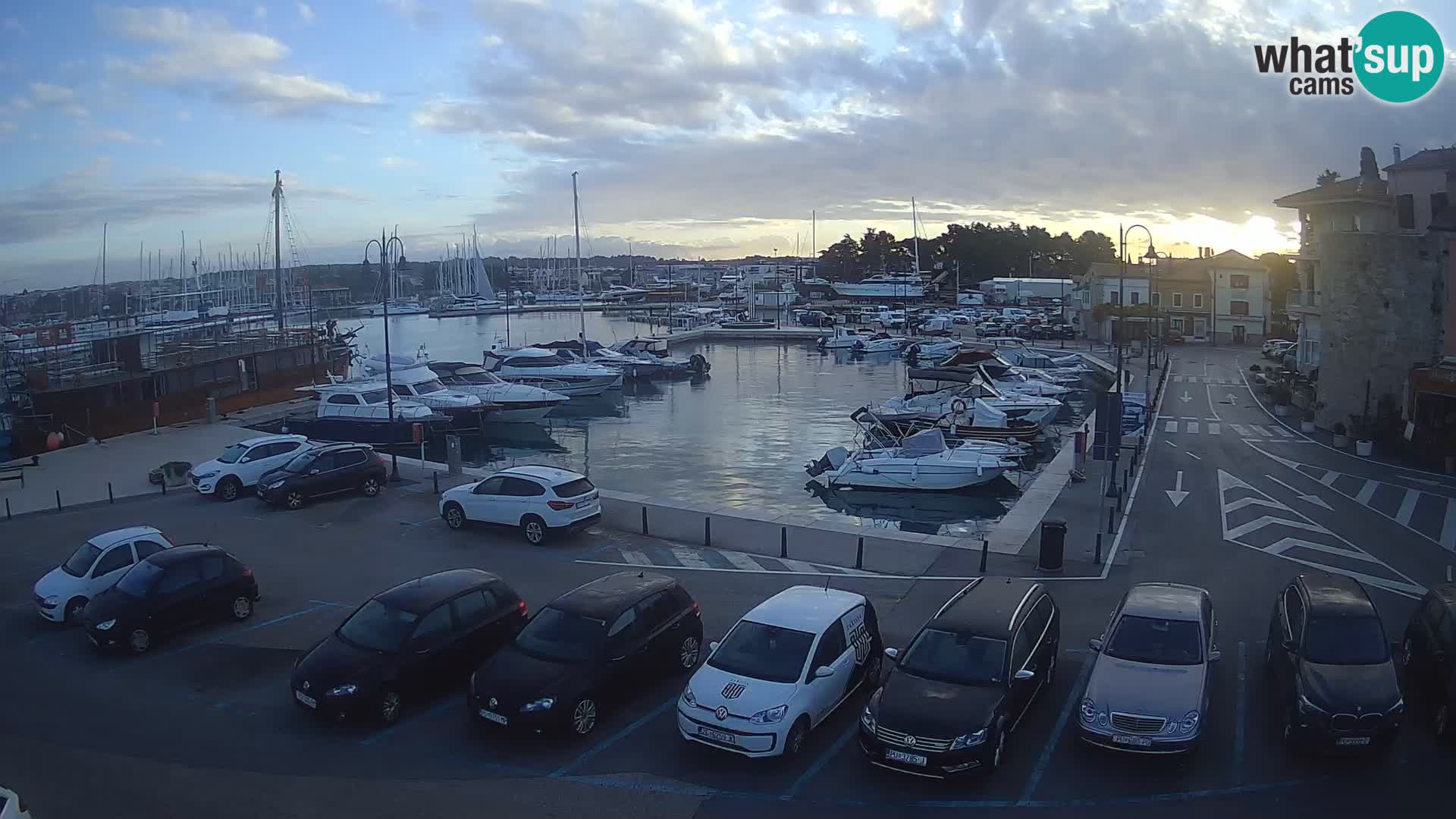 Novigrad | Porporela marina