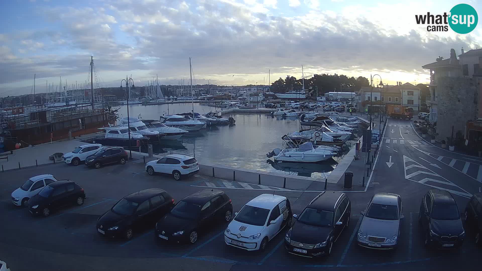 Novigrad | Porporela marina