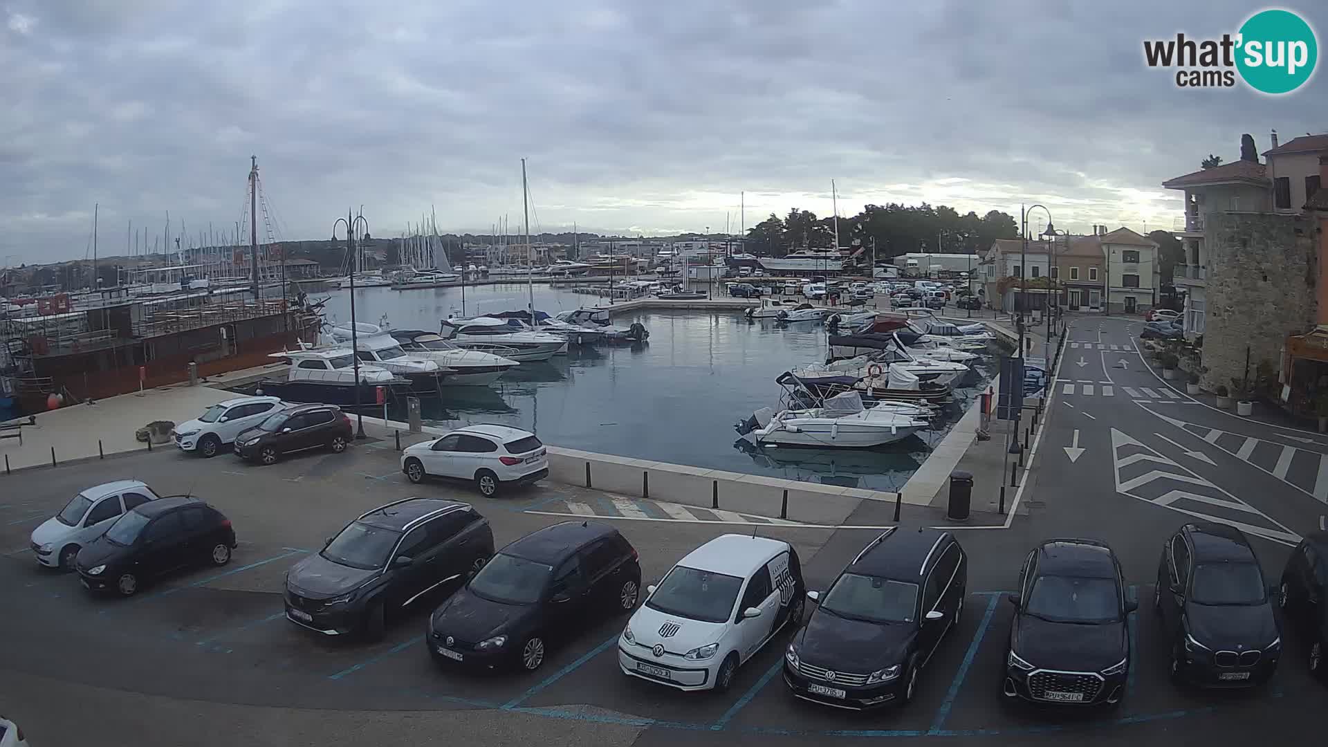 Novigrad | Porporela marina