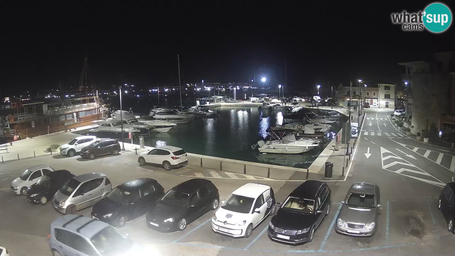 Novigrad | Porporela marina