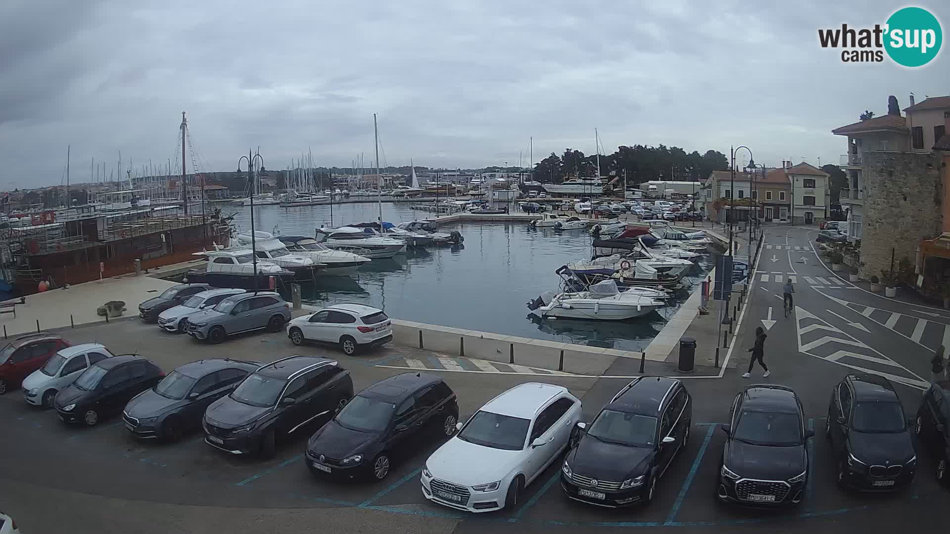 Novigrad | Porporela marina