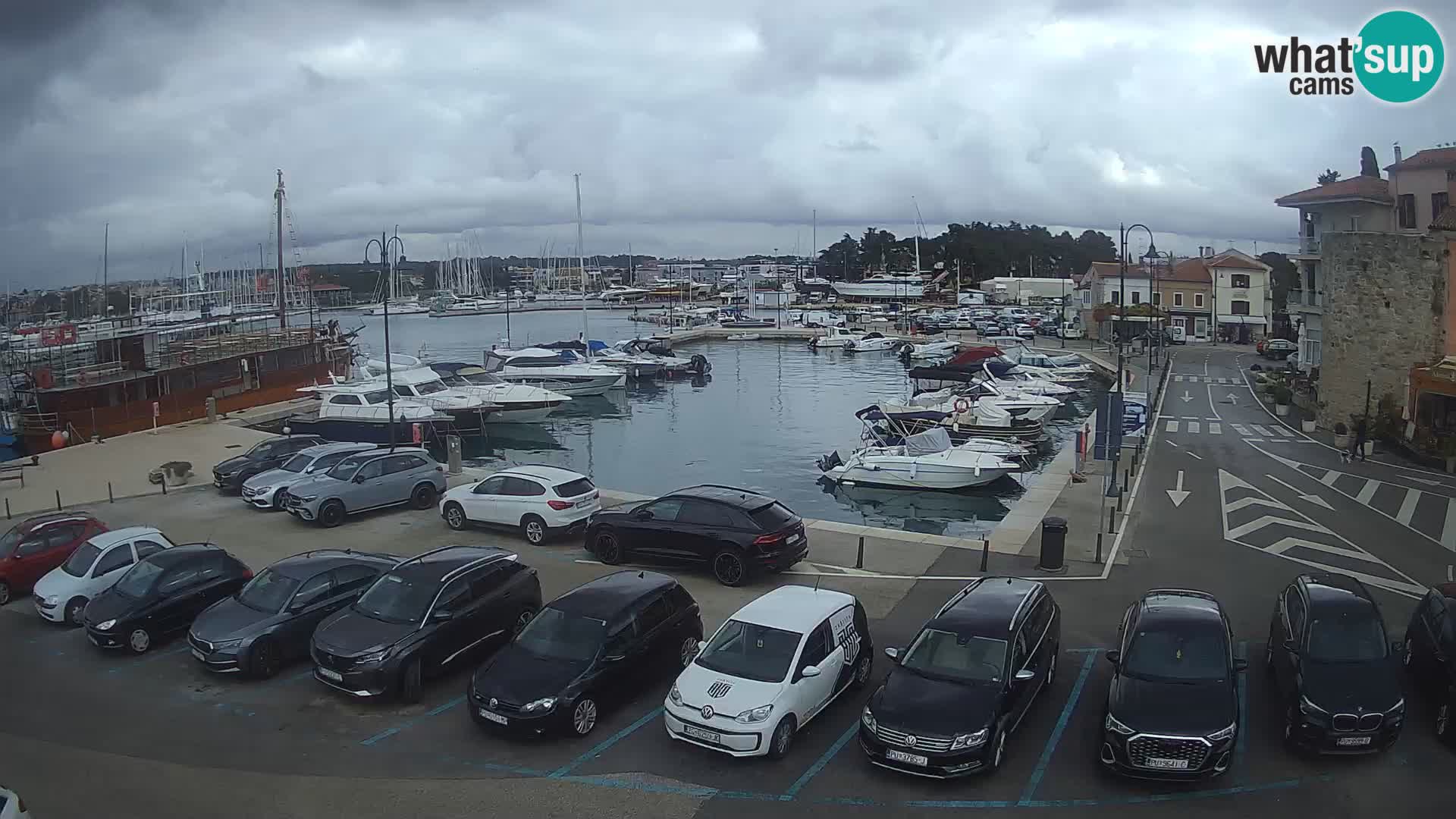 Novigrad | Porporela marina