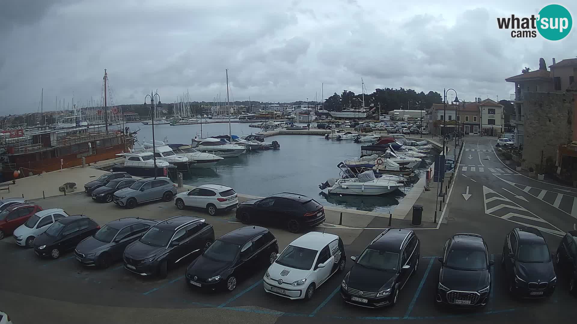 Novigrad | Porporela marina