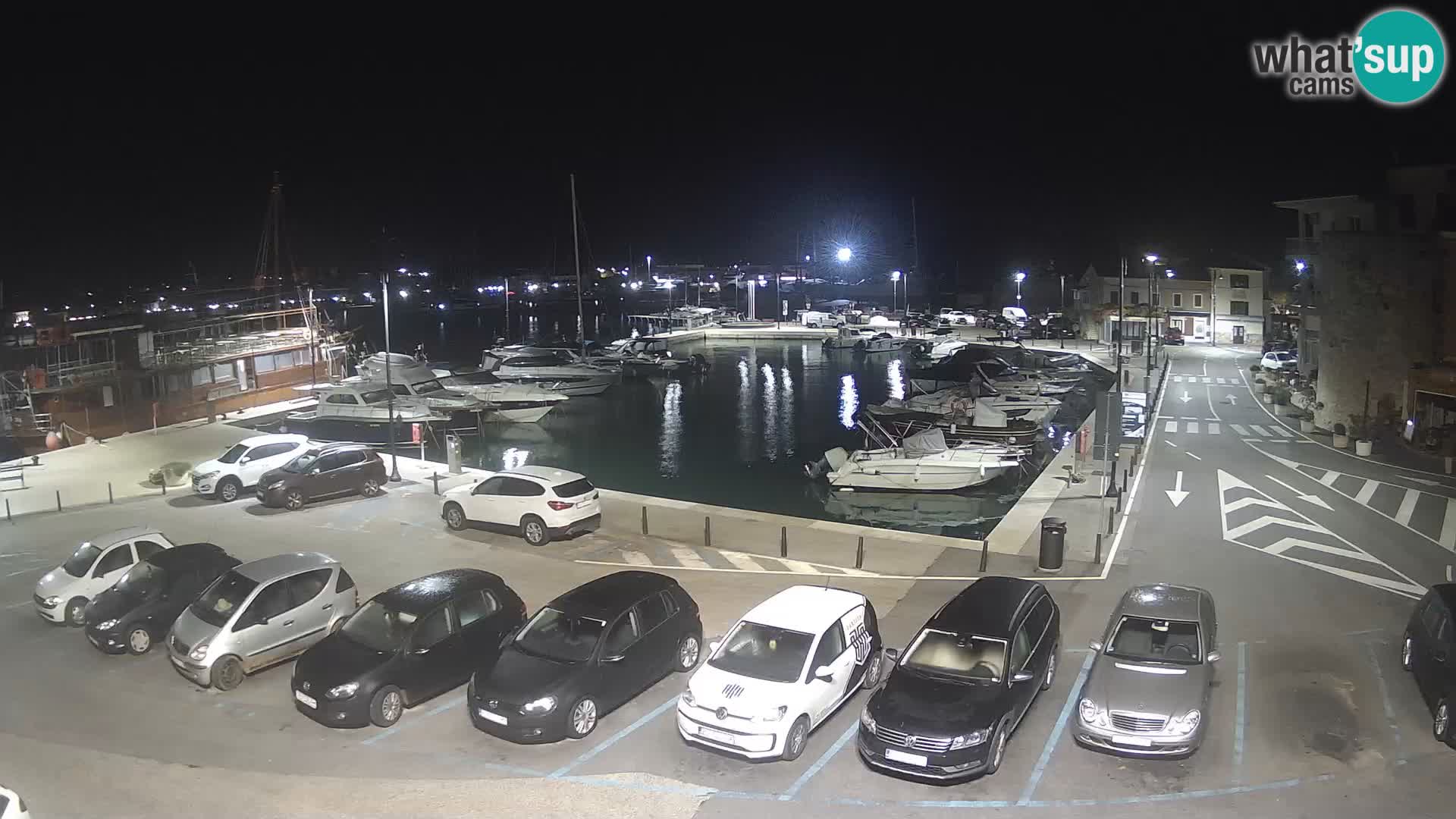 Novigrad | Porporela marina