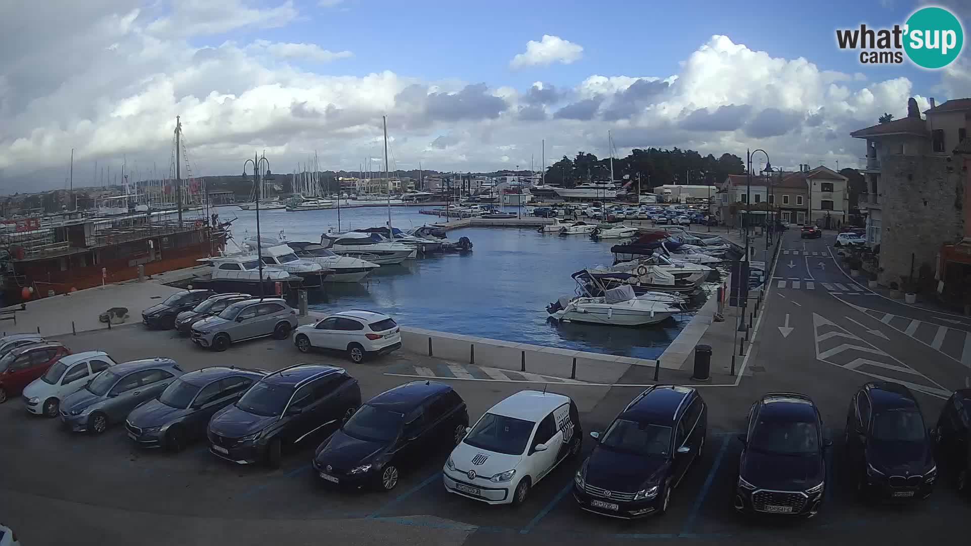 Novigrad | Porporela marina