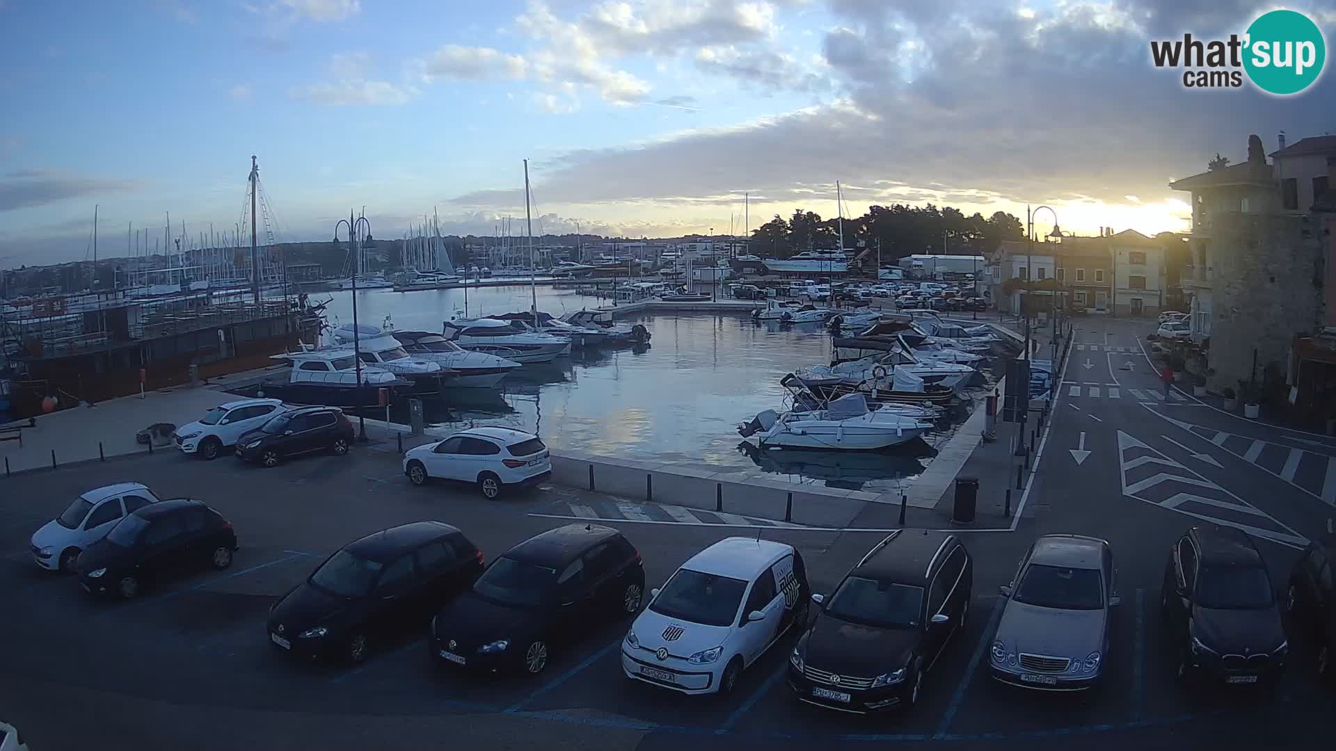 Novigrad | Porporela marina