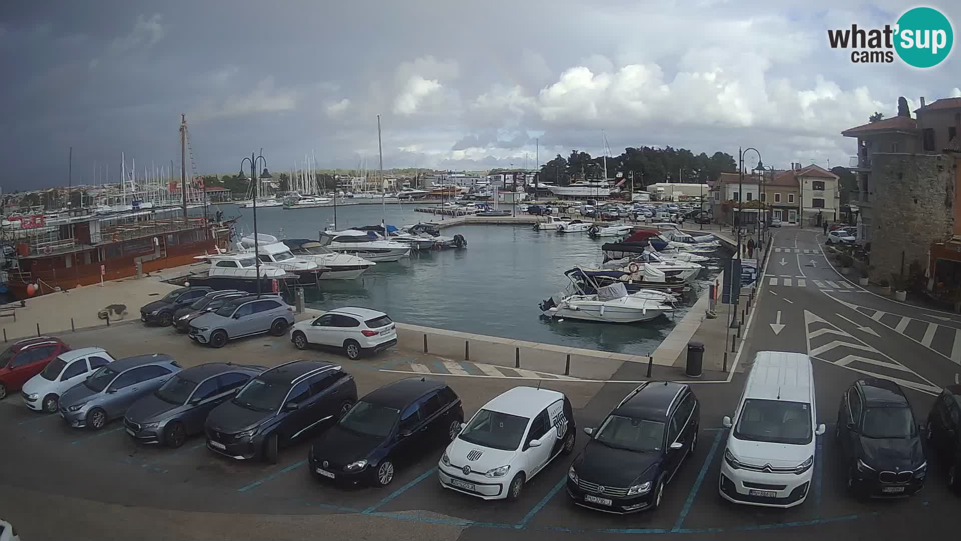 Novigrad | Porporela marina