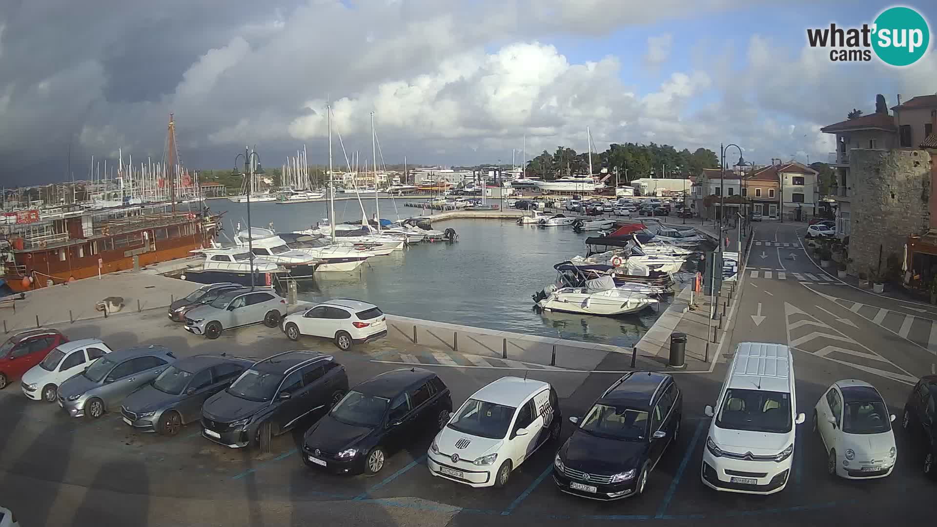 Novigrad | Porporela marina