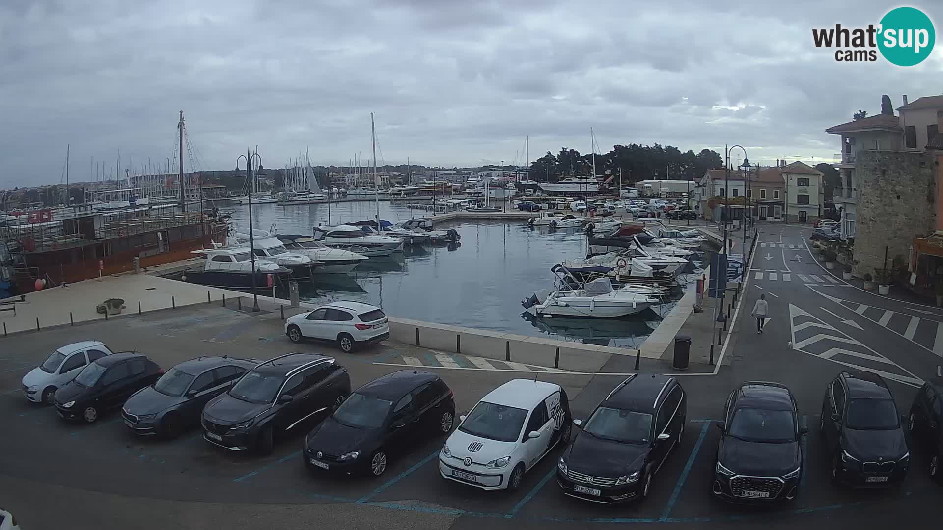 Novigrad | Porporela marina