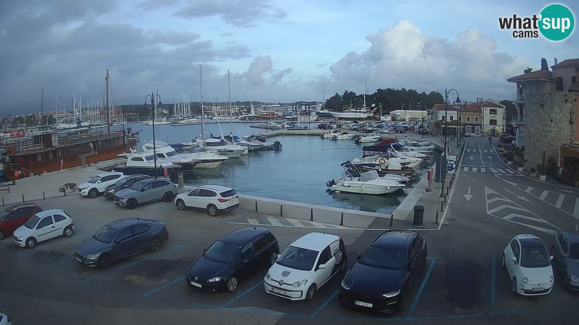 Novigrad | Porporela marina