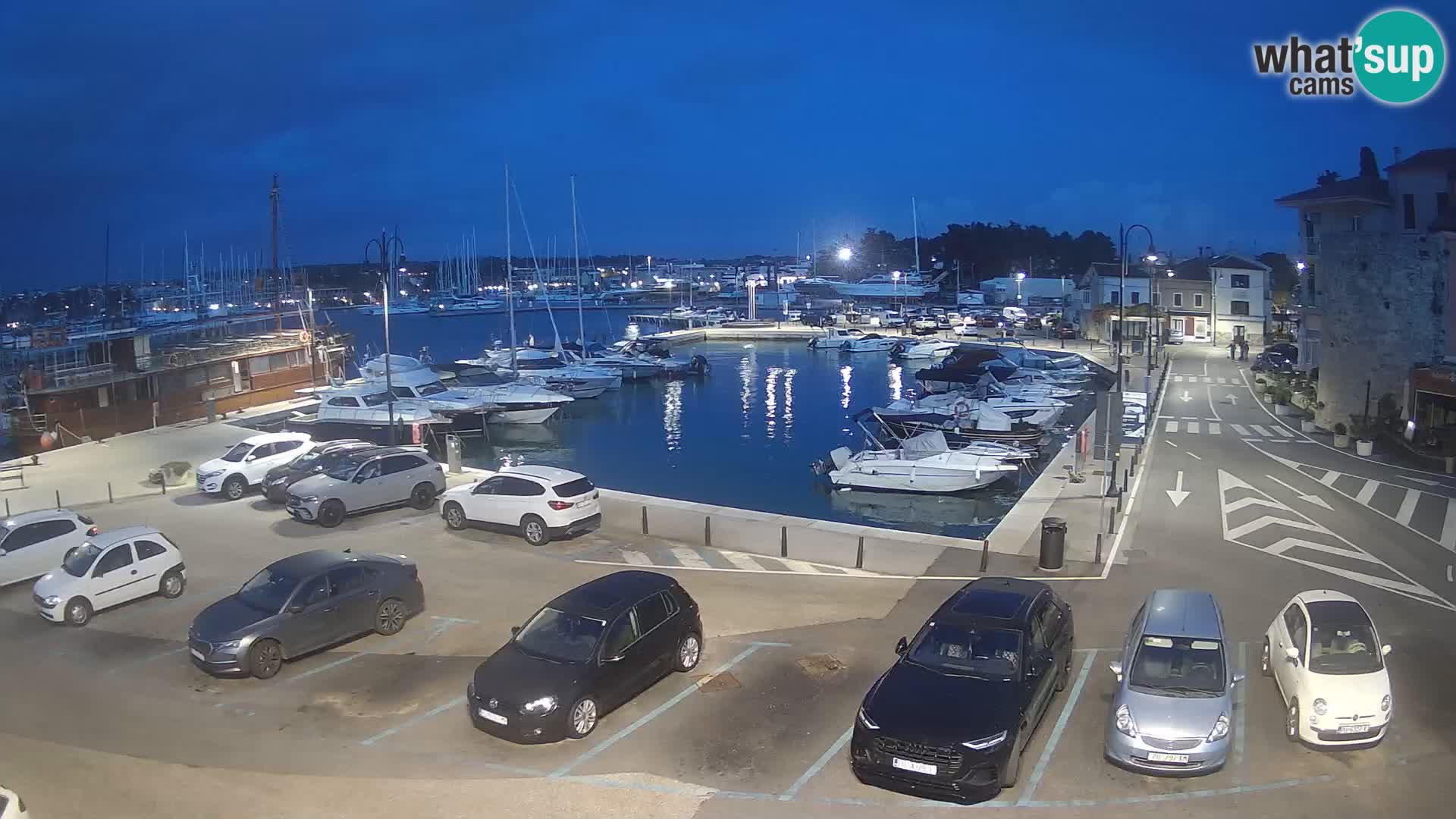 Novigrad | Porporela marina