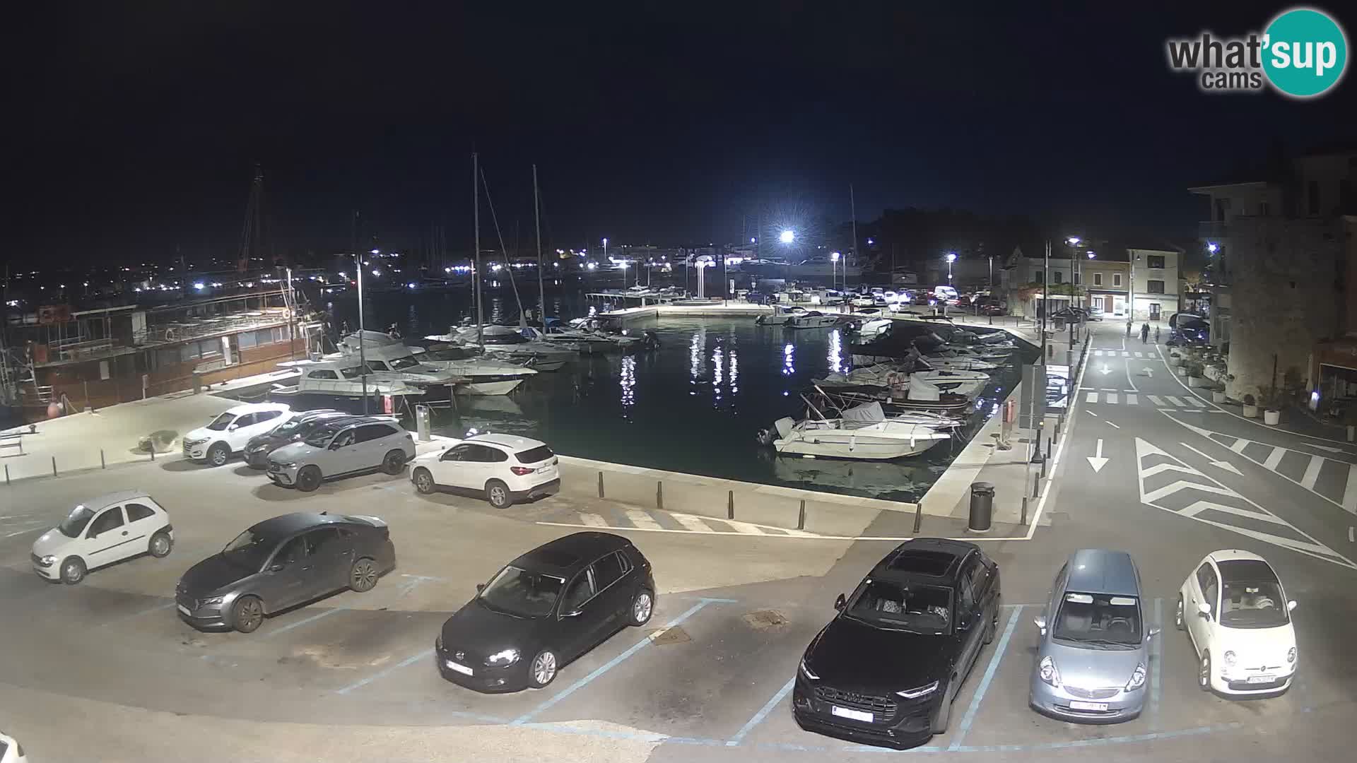Novigrad | Porporela marina