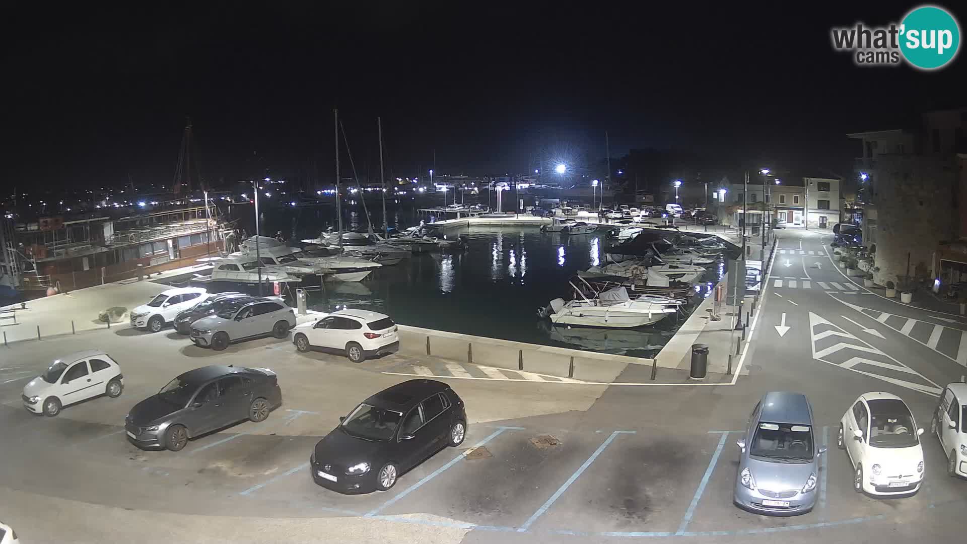 Novigrad | Porporela marina