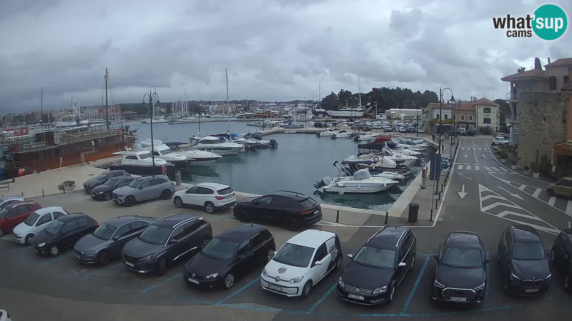 Novigrad | Porporela marina