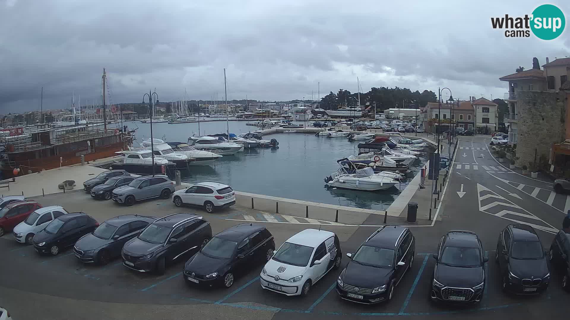 Novigrad | Porporela marina