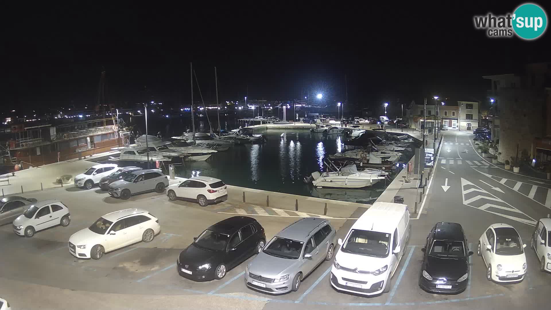 Novigrad | Porporela marina