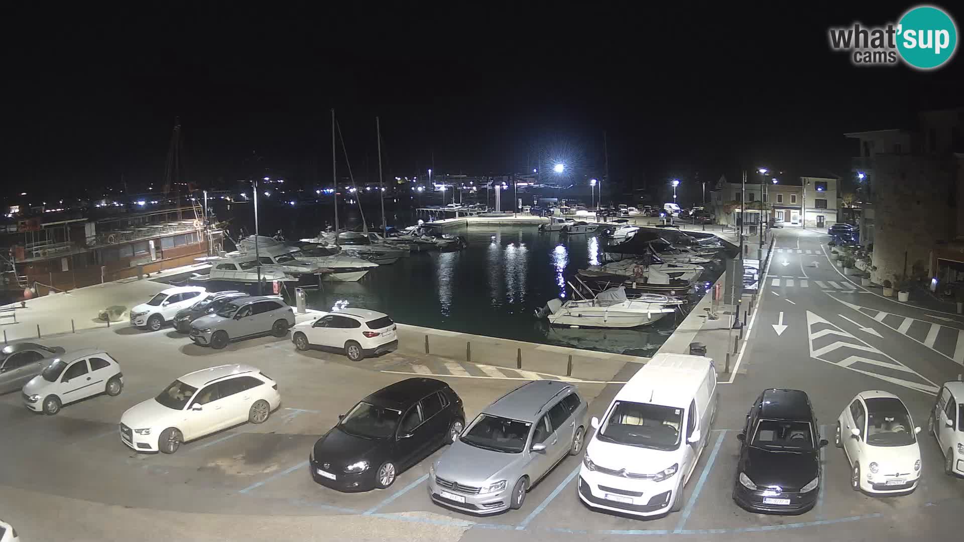 Novigrad | Porporela marina