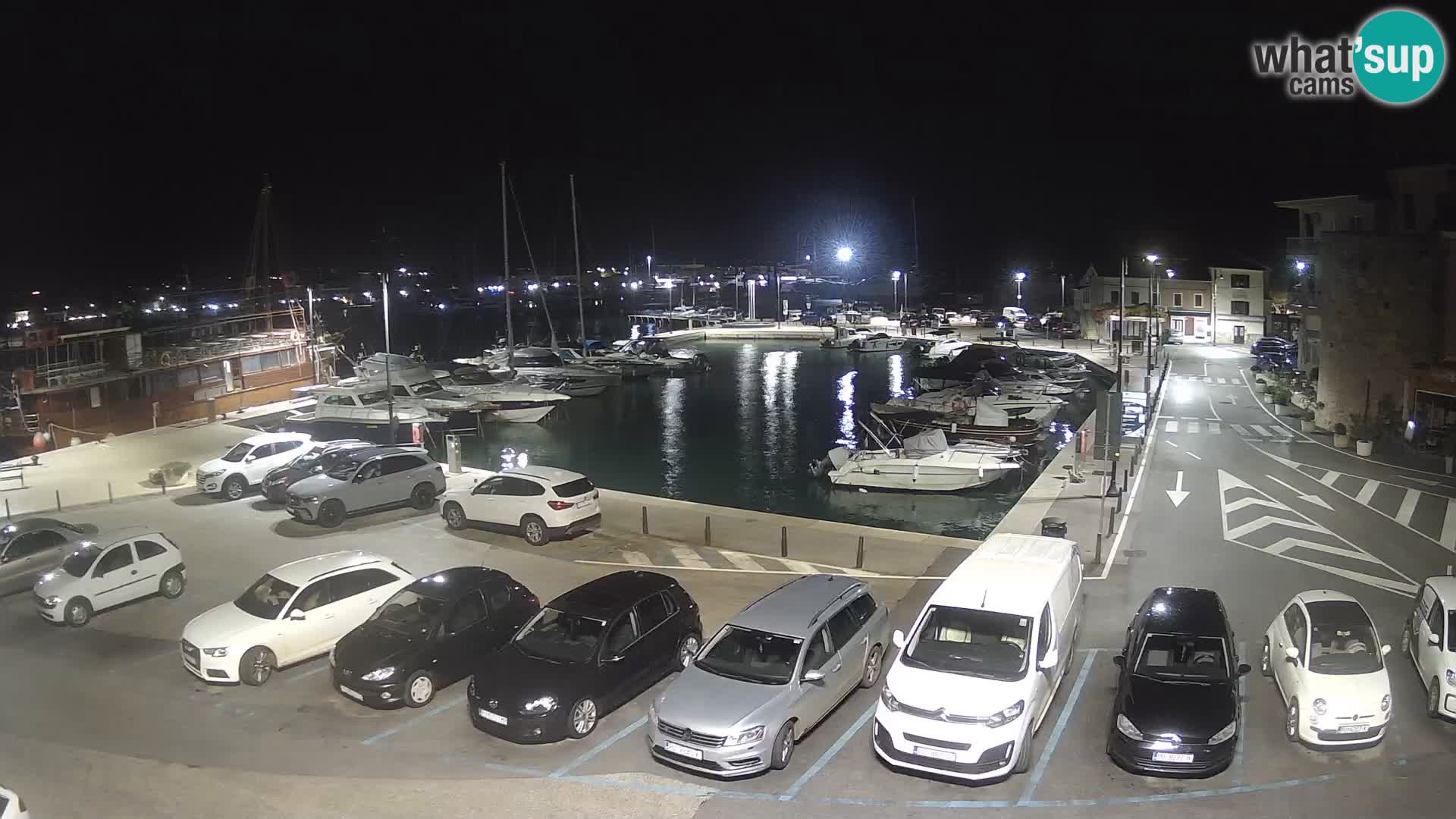 Novigrad | Porporela marina