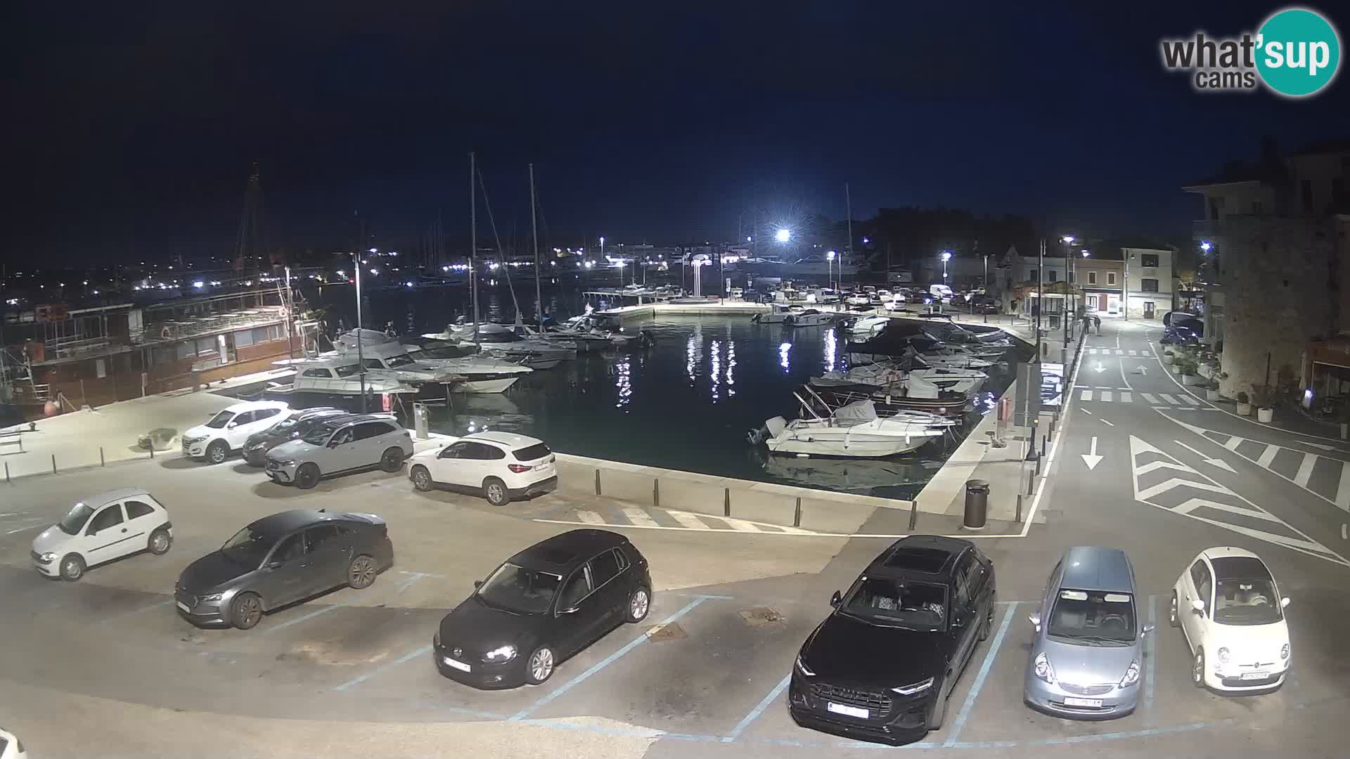 Novigrad | Porporela marina