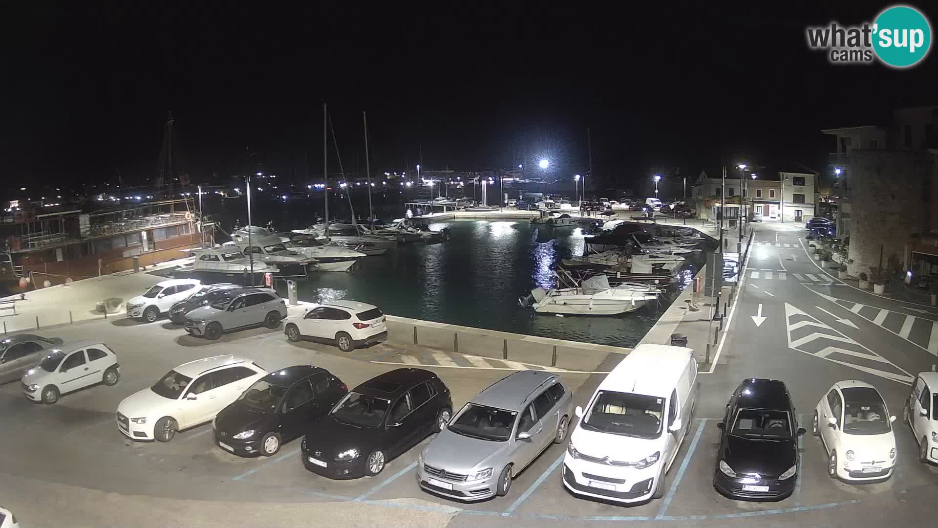 Novigrad | Porporela marina