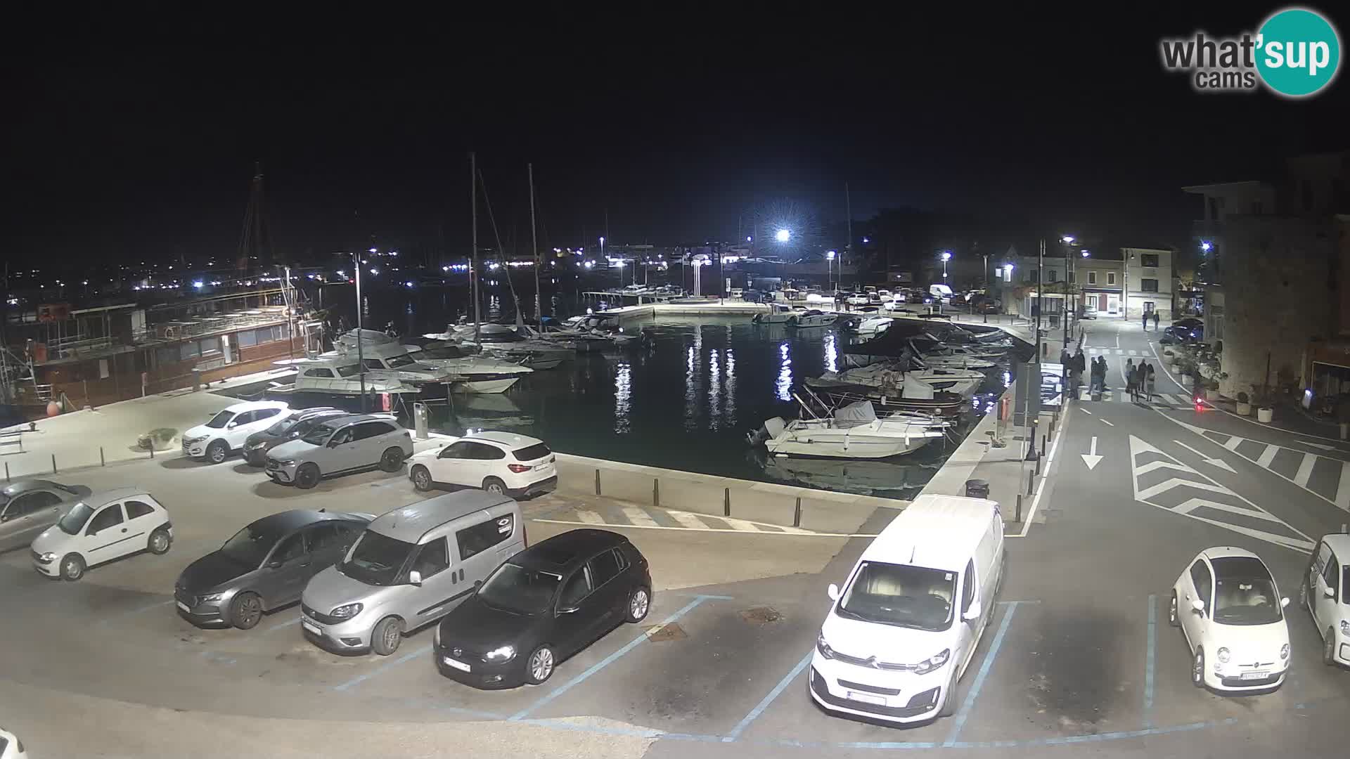 Novigrad | Porporela marina