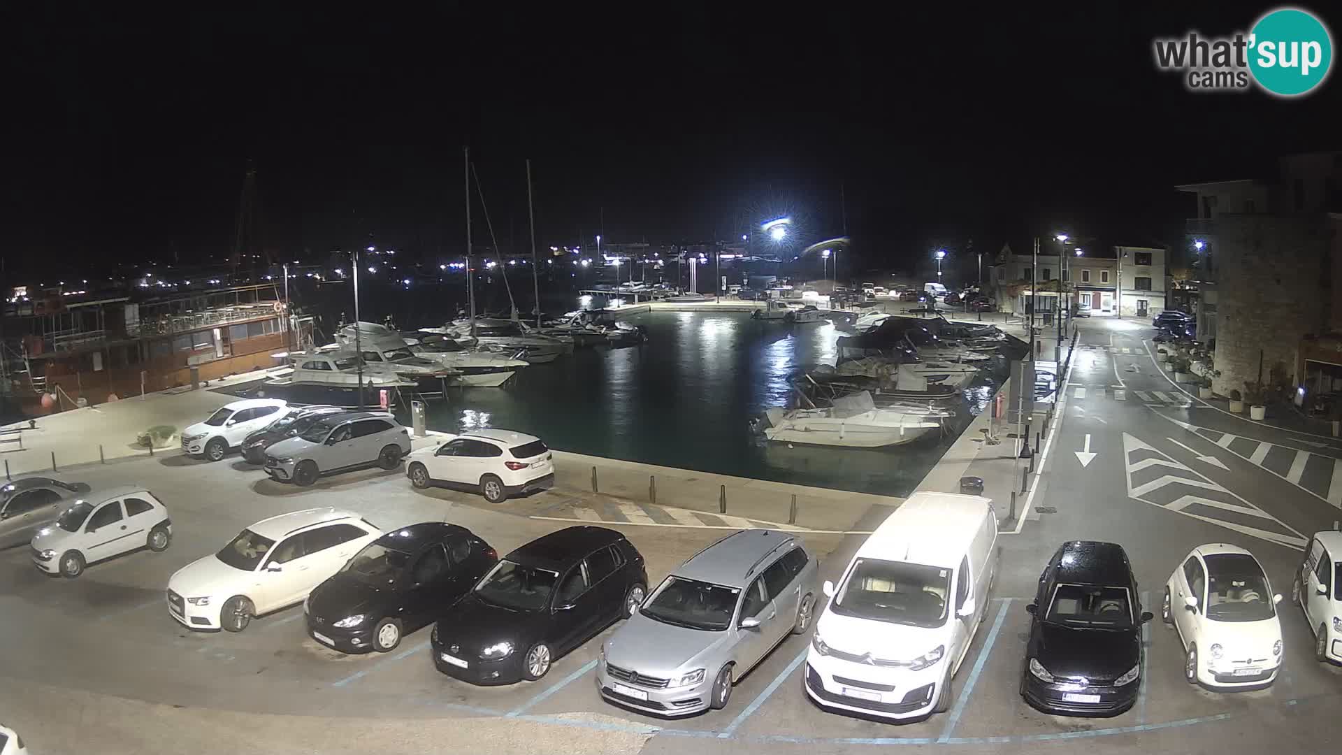 Novigrad | Porporela marina