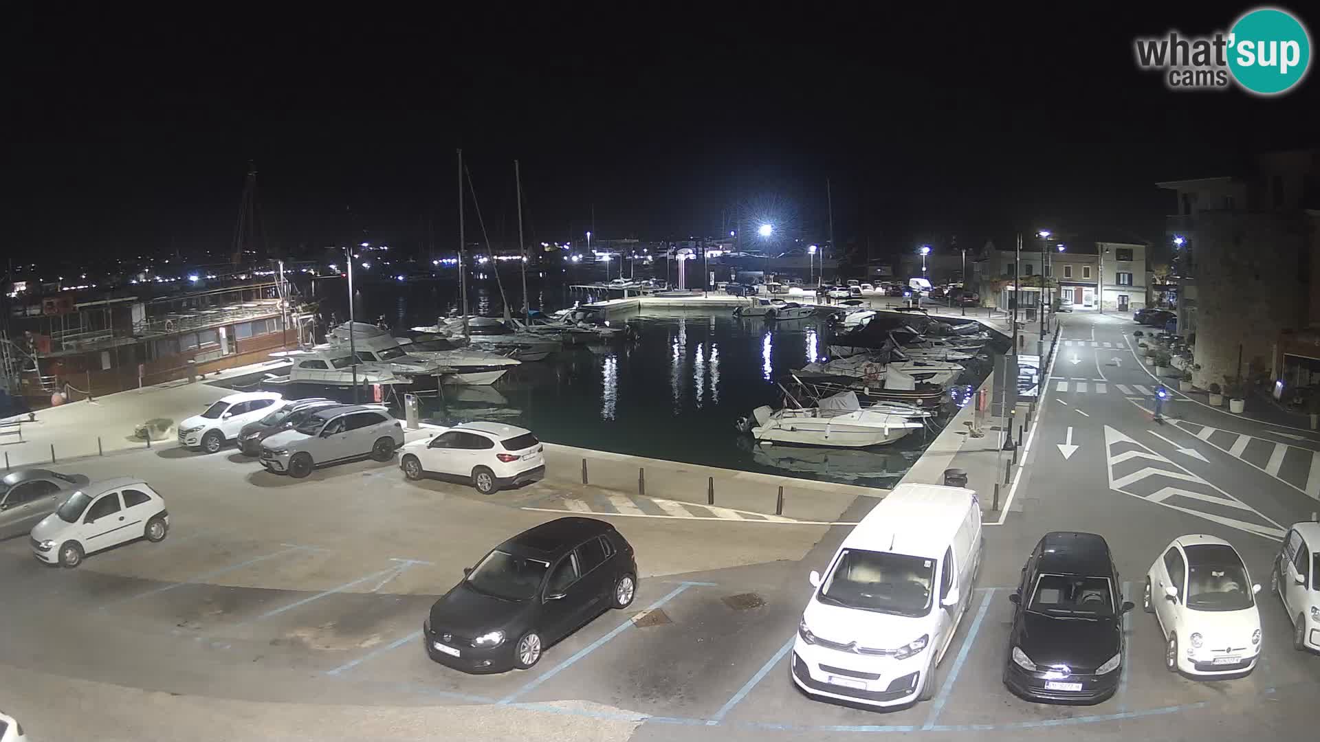 Novigrad | Porporela marina