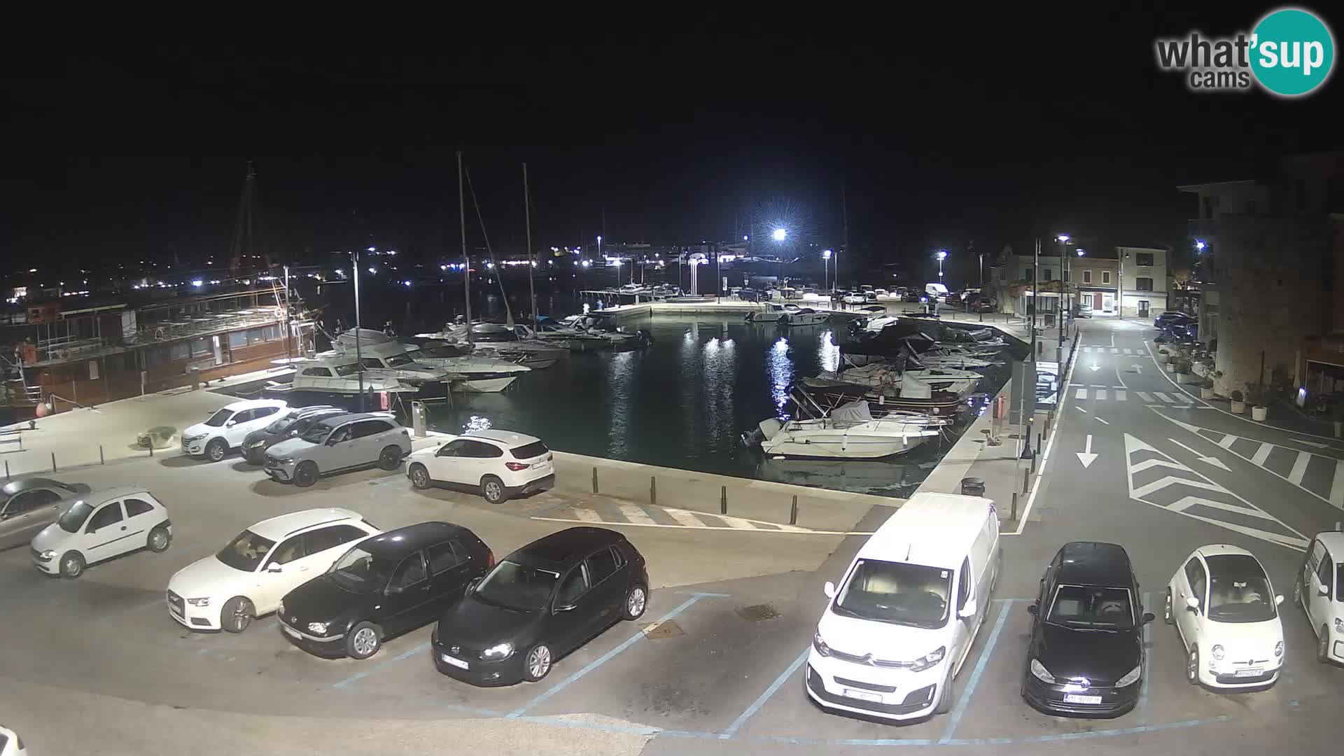 Novigrad | Porporela marina