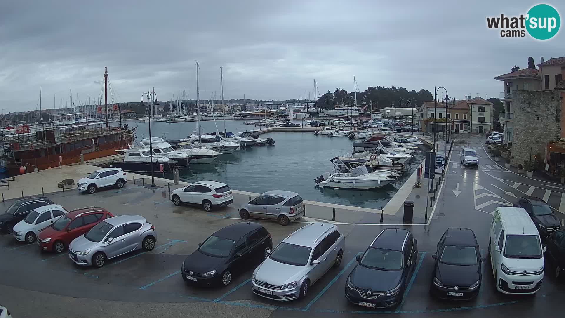 Novigrad | Porporela marina