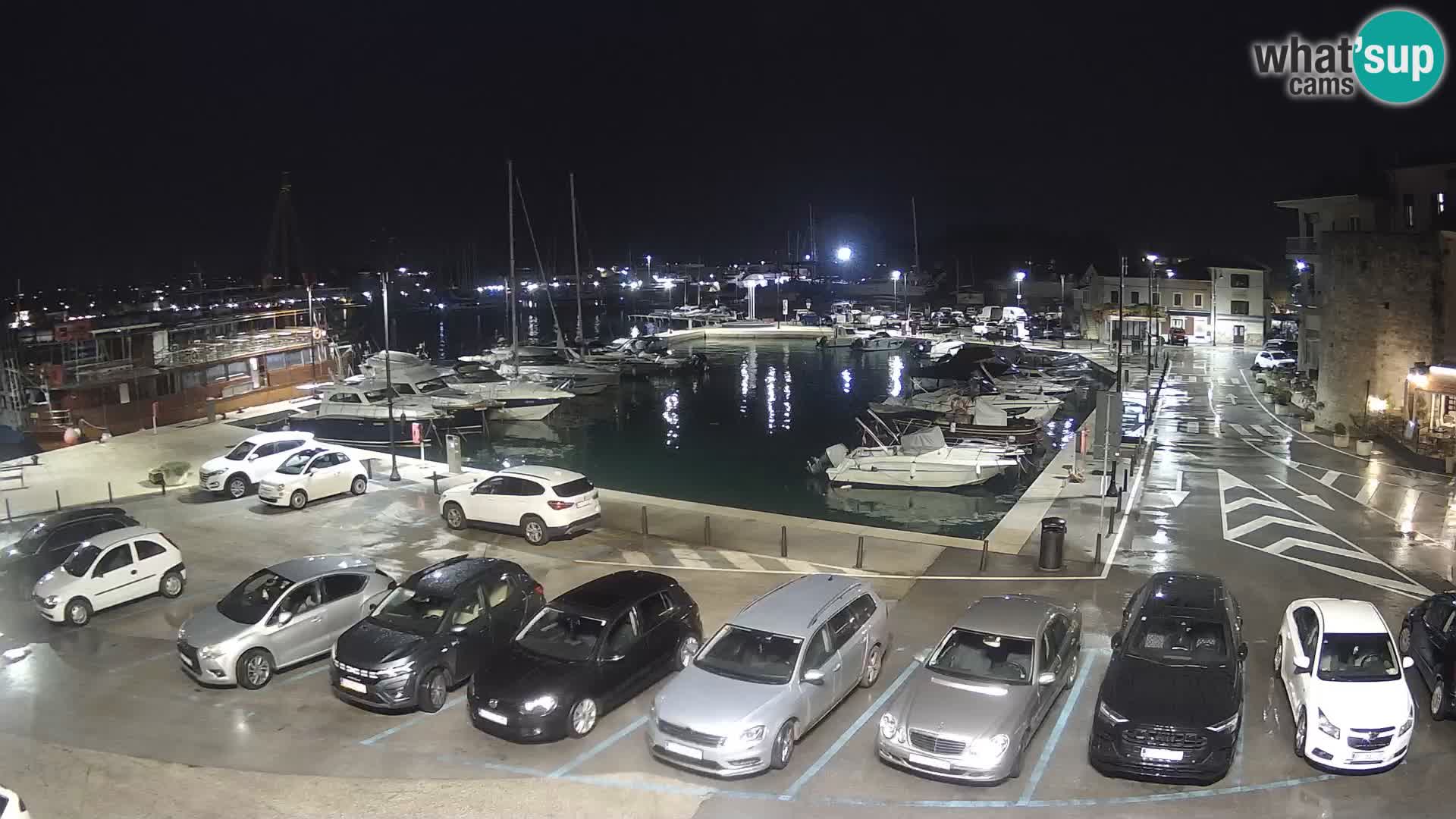 Novigrad | Porporela marina