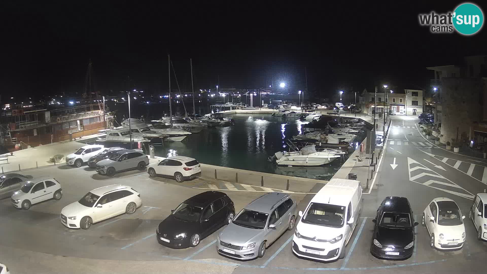 Novigrad | Porporela marina