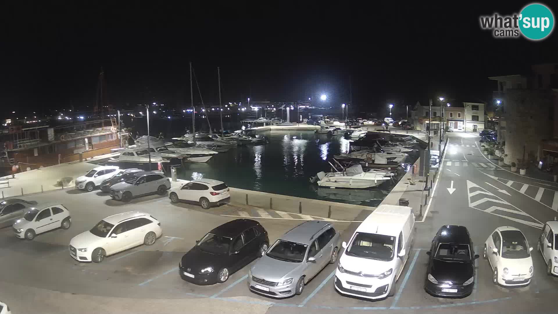 Novigrad | Porporela marina