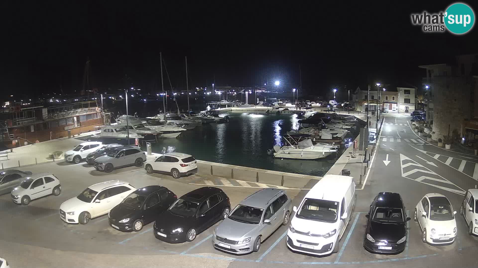 Novigrad | Porporela marina