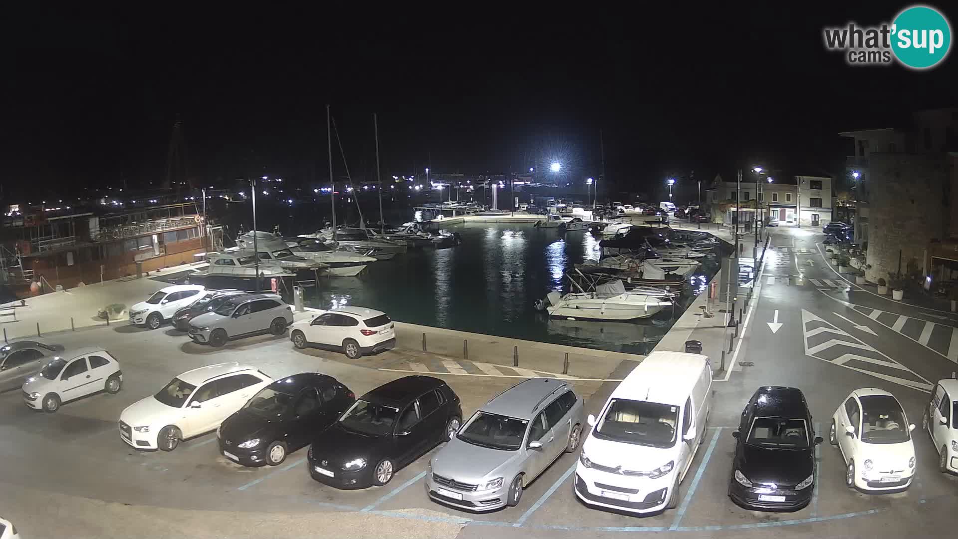 Novigrad | Porporela marina