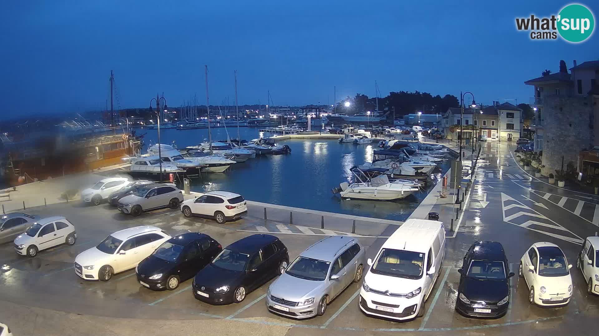 Novigrad | Porporela marina