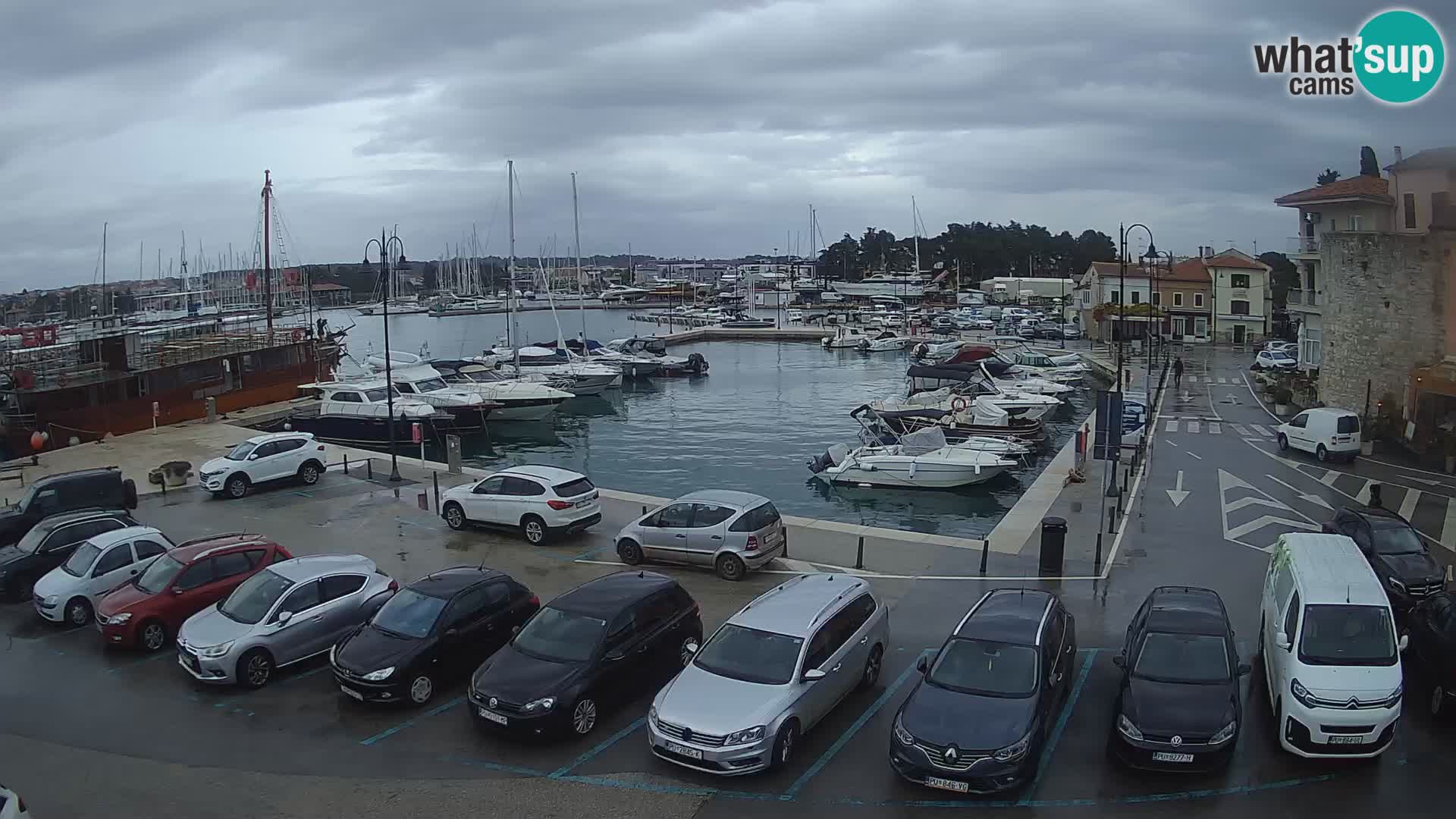 Novigrad | Porporela marina