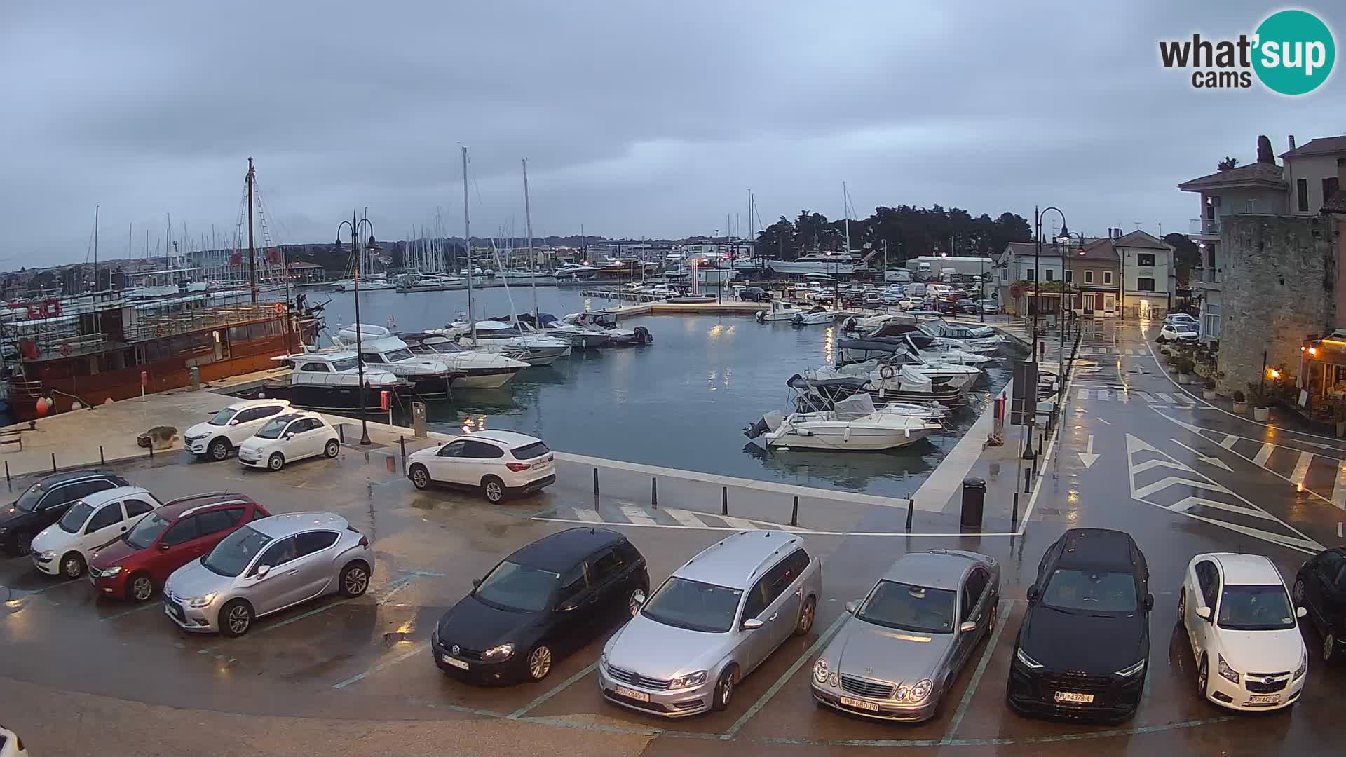 Novigrad | Porporela marina