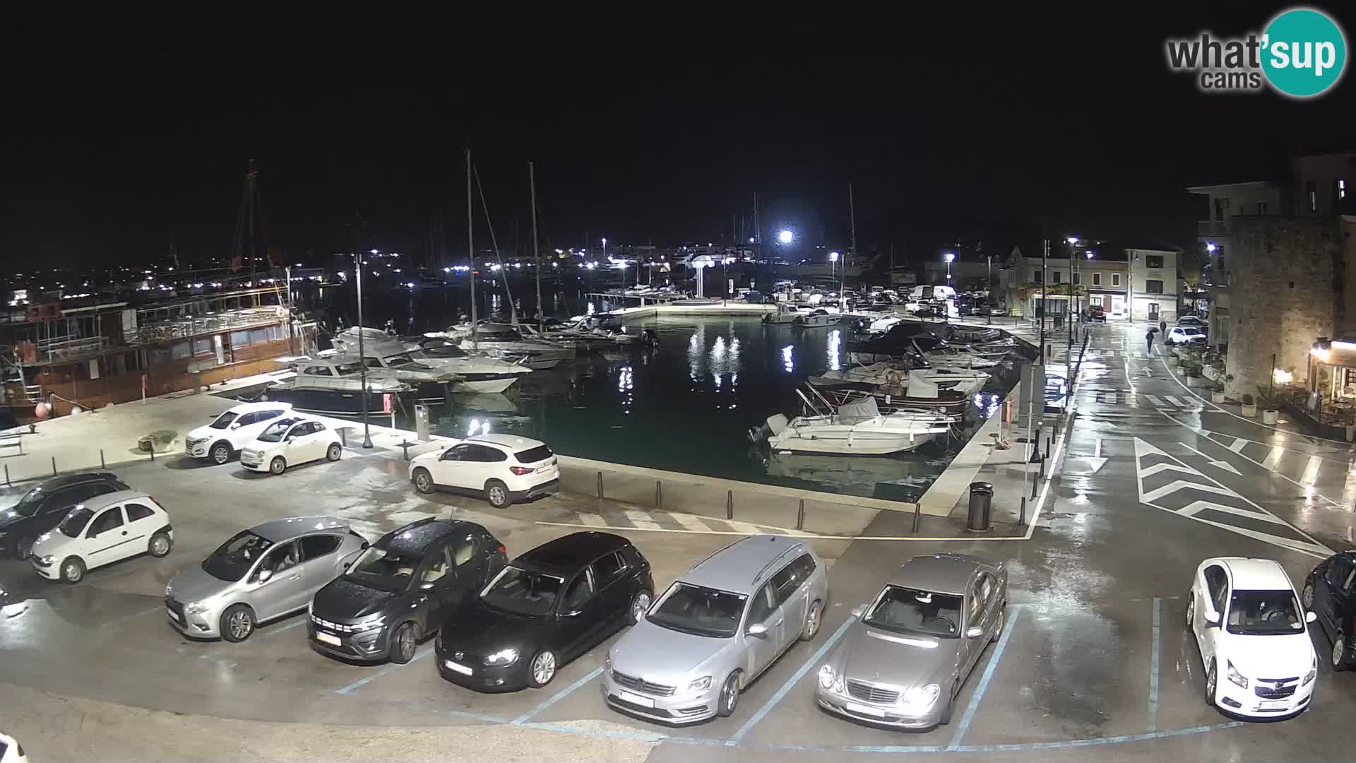 Novigrad | Porporela marina