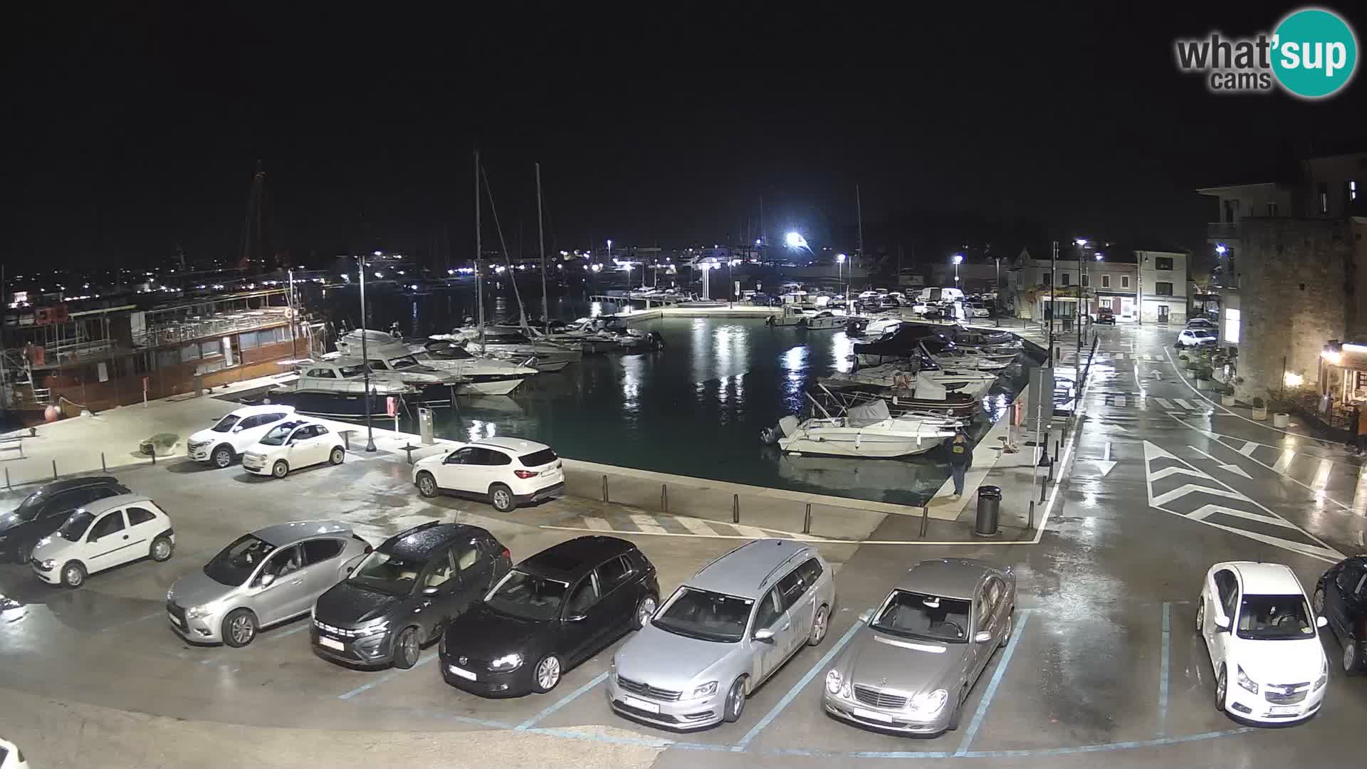 Novigrad | Porporela marina