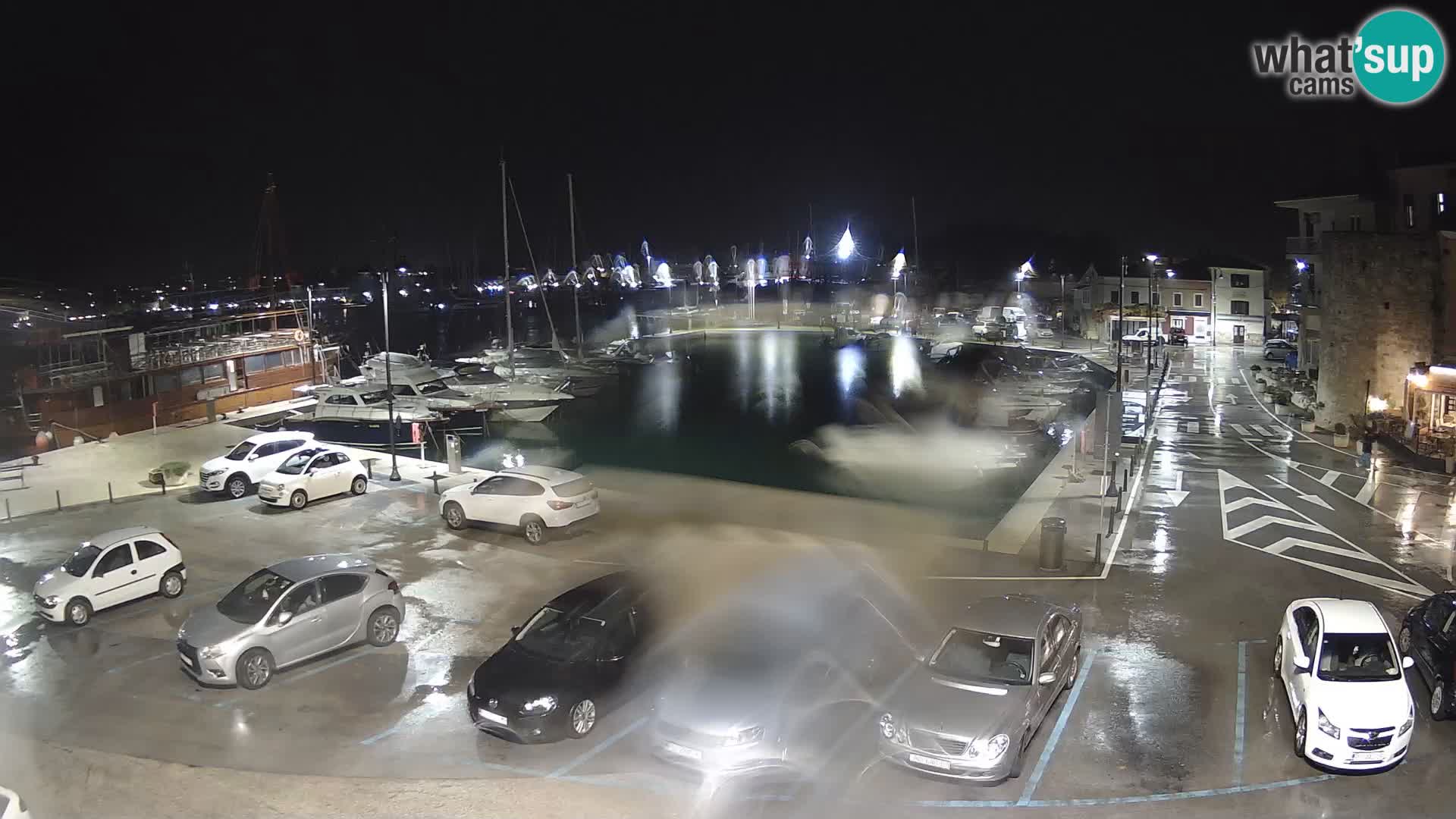 Novigrad | Porporela marina